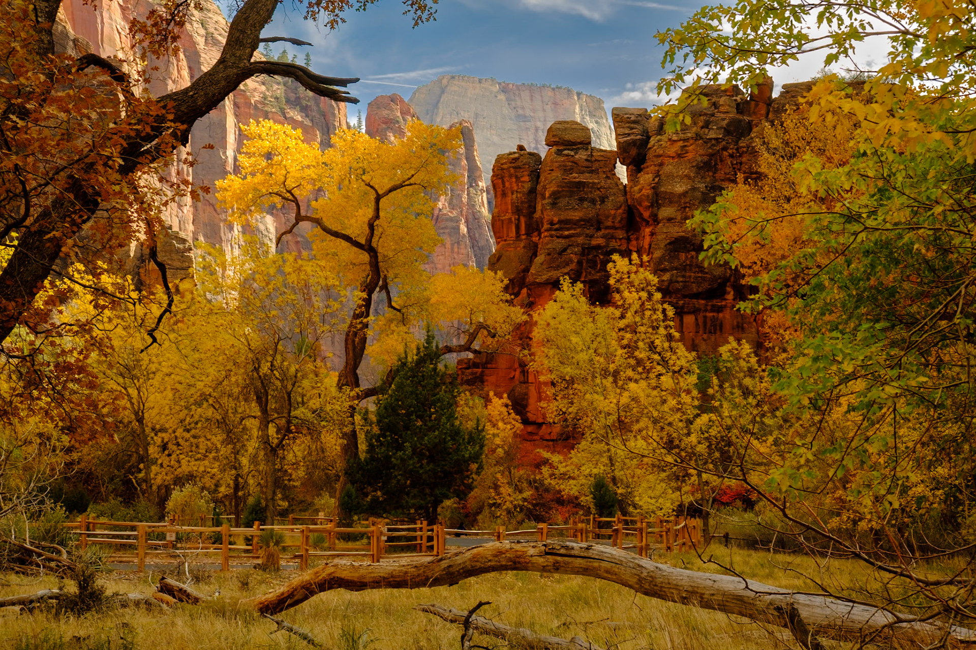 Utah Trip 2021Zion National Park - Riverside Walk Trail