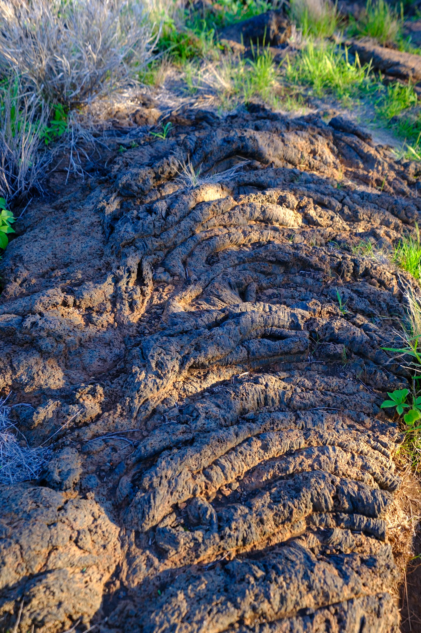 Puakō Petroglyph Archaeological Preserve
