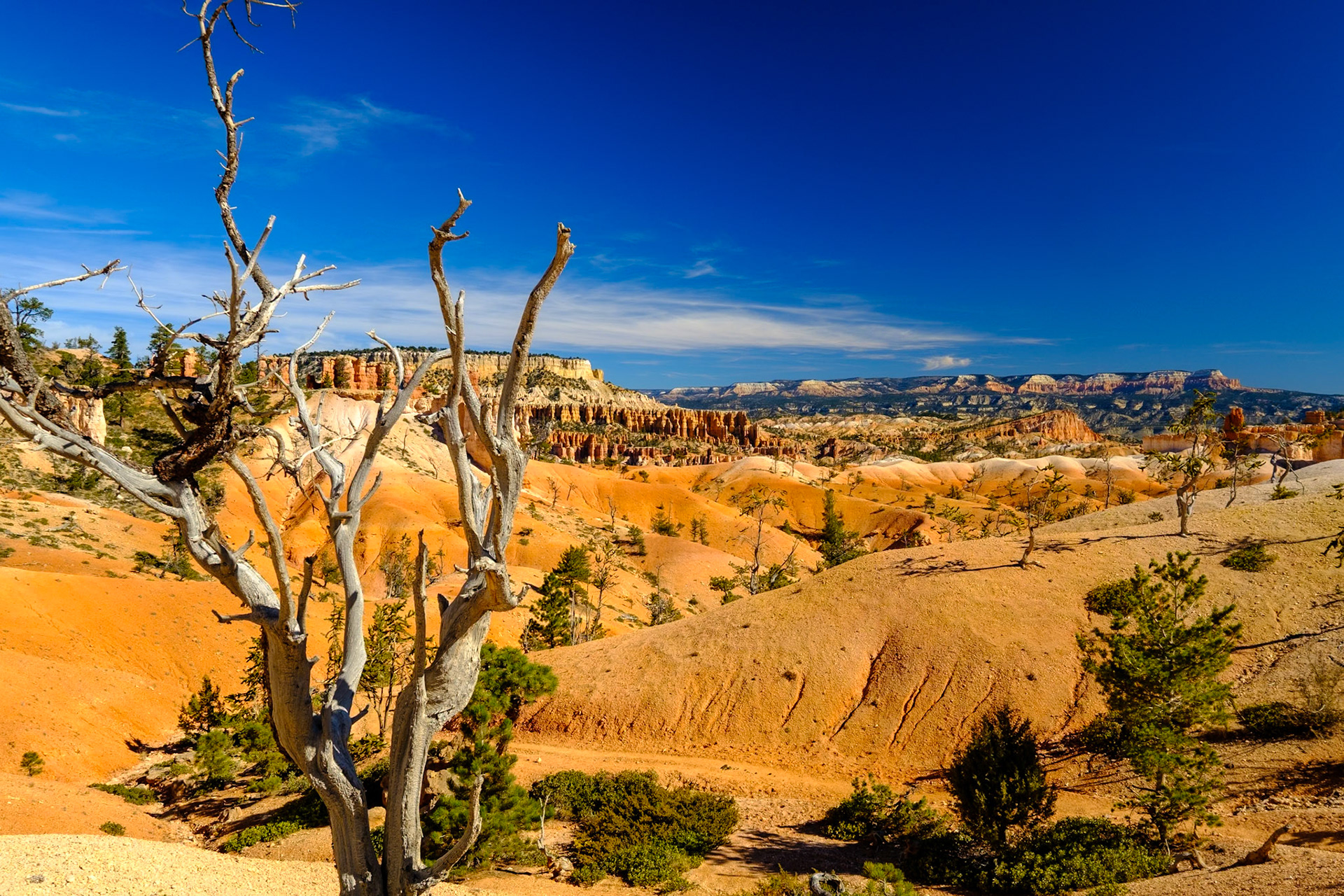Utah Trip 2021Bryce Canyon National Park - Queen’s Garden Trail