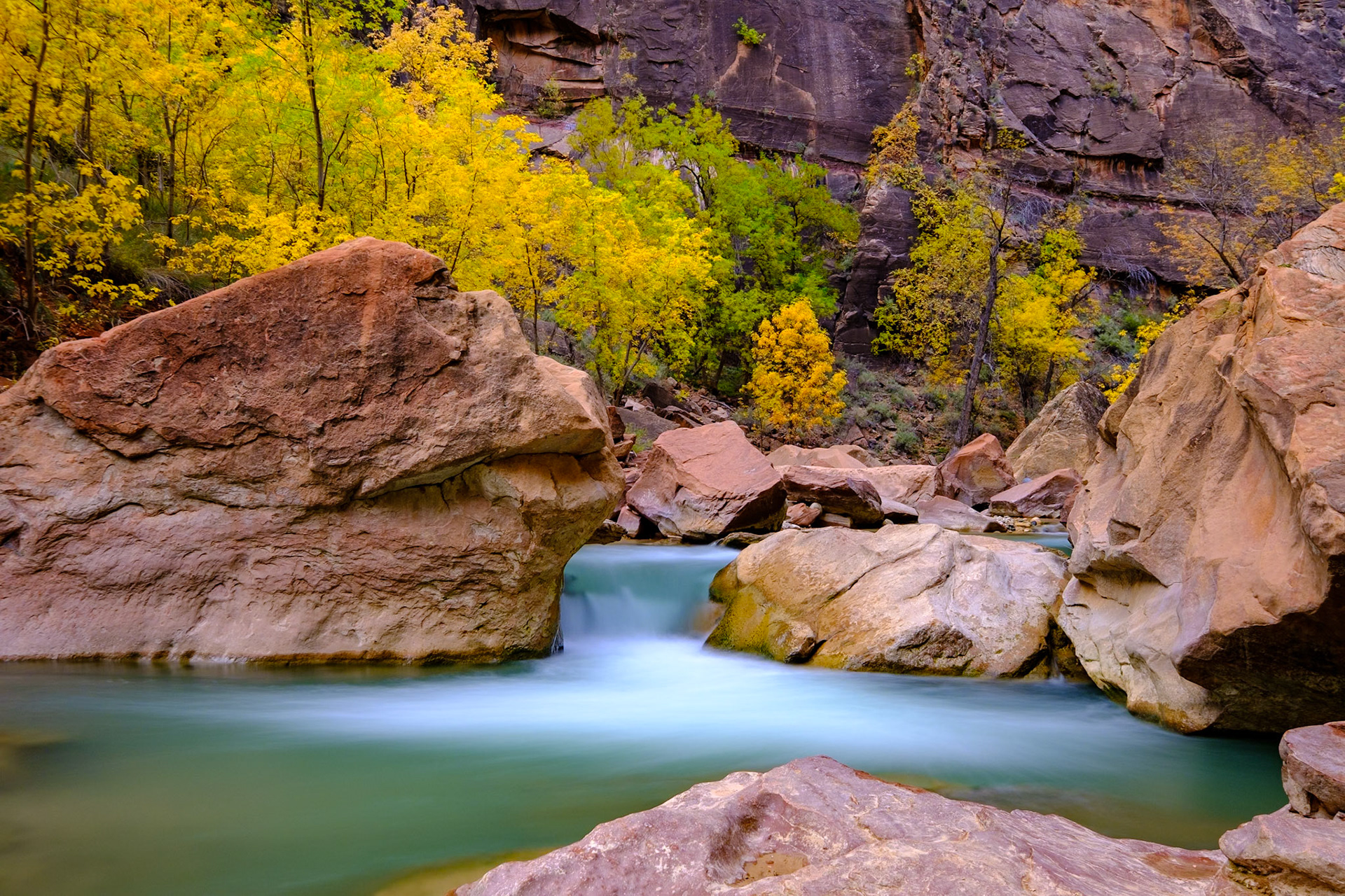 Utah Trip 2021Zion National Park - Riverside Walk Trail