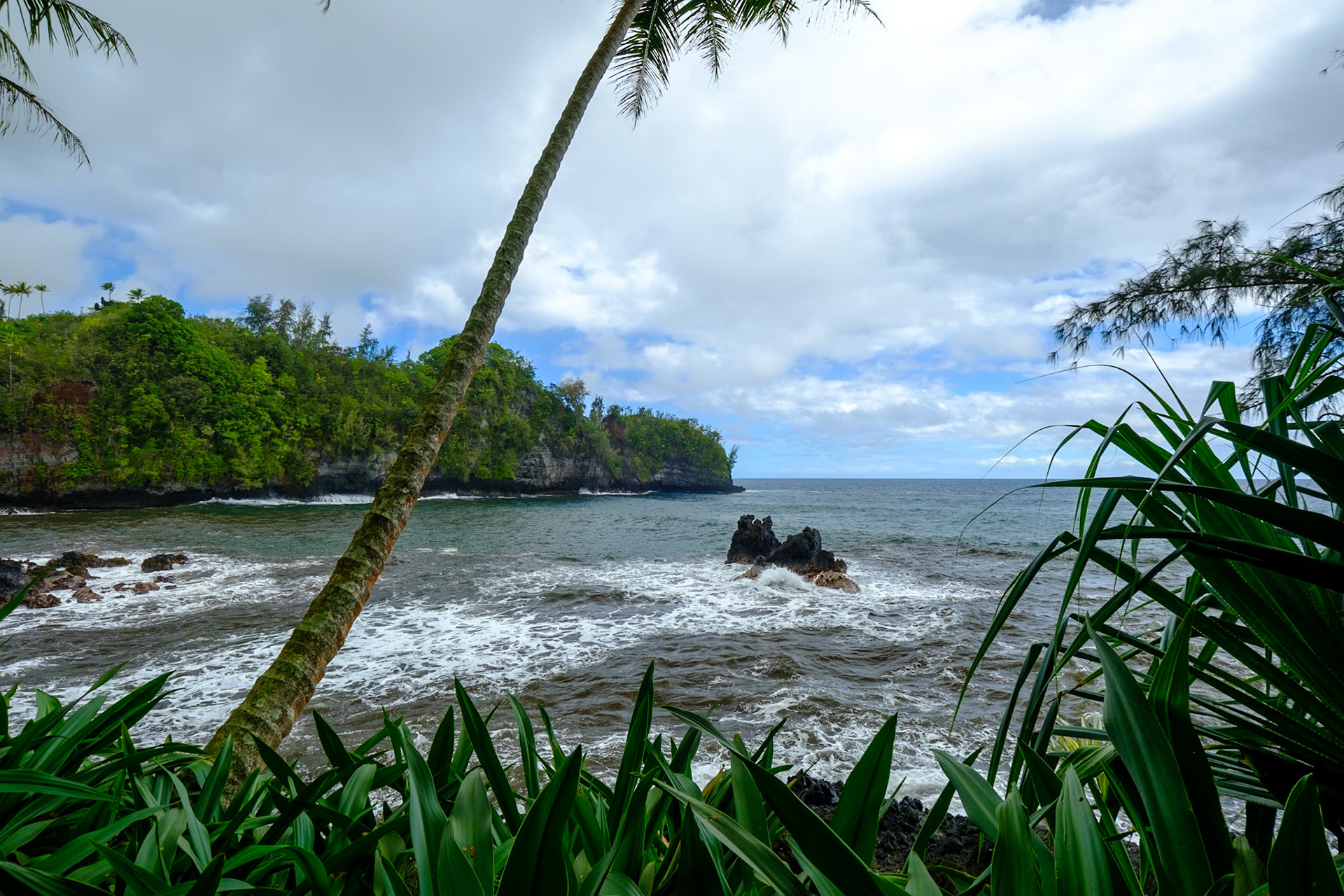 Hawaii Tropical Bioreserve and Garden