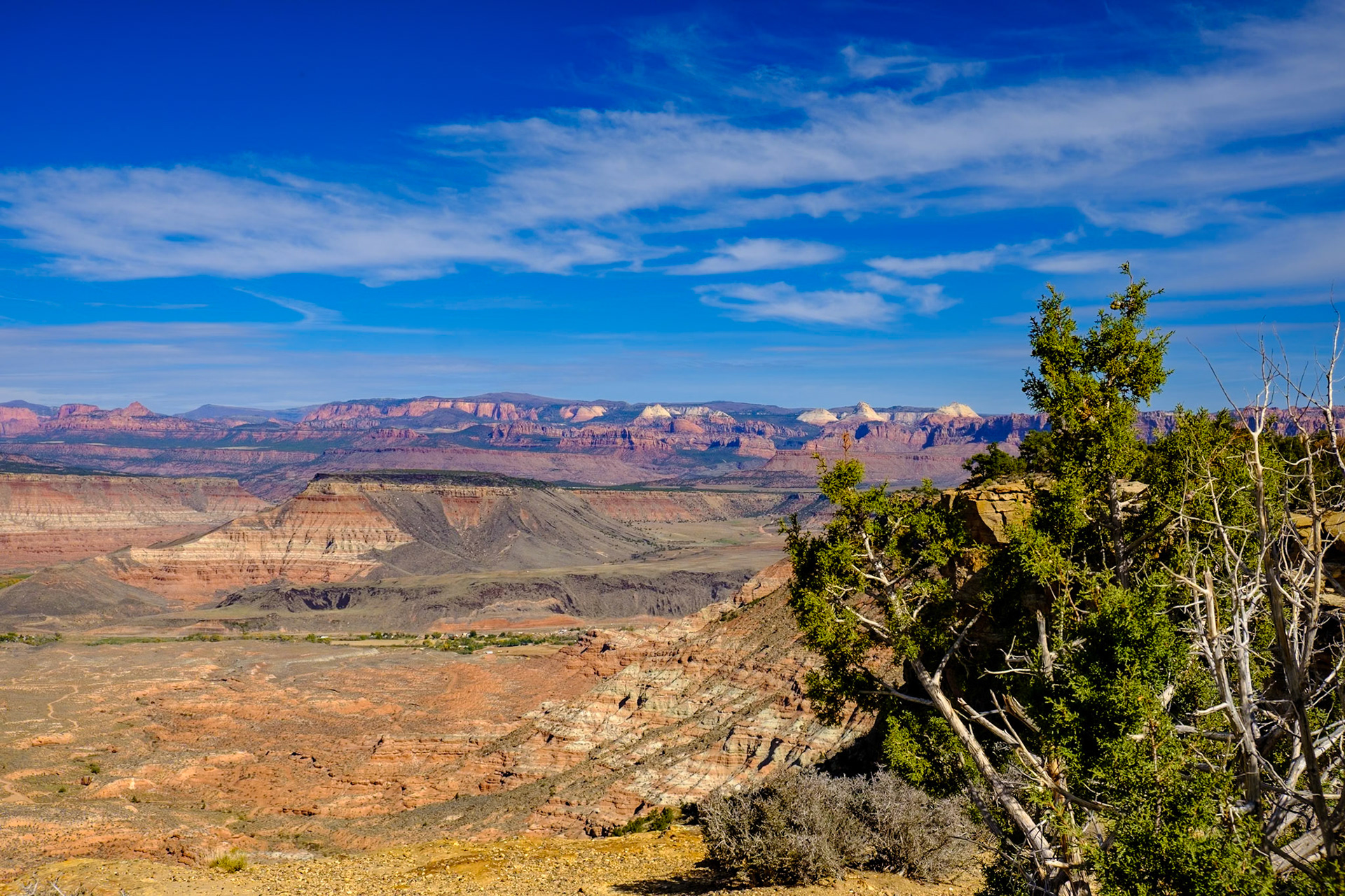 Utah Trip 2021Zion National Park - Jeep Safari to Grafton and Gooseberry Mesa - View from Gooseberry Mesa