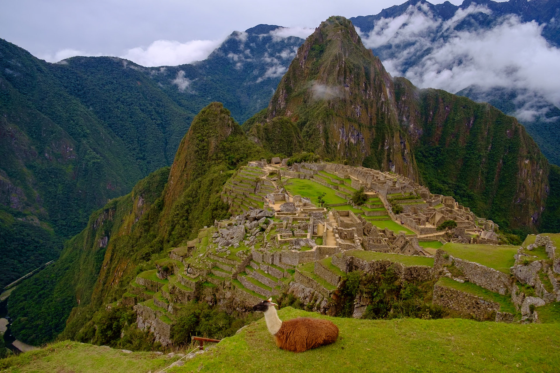 Machu Picchu