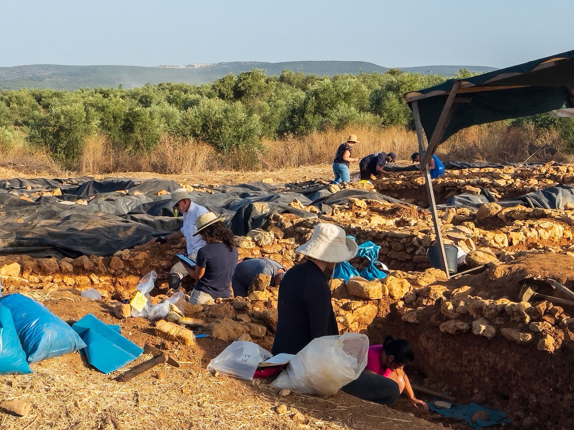 Iklaina Archaelogical Trip 2024 - Day 7 General view
