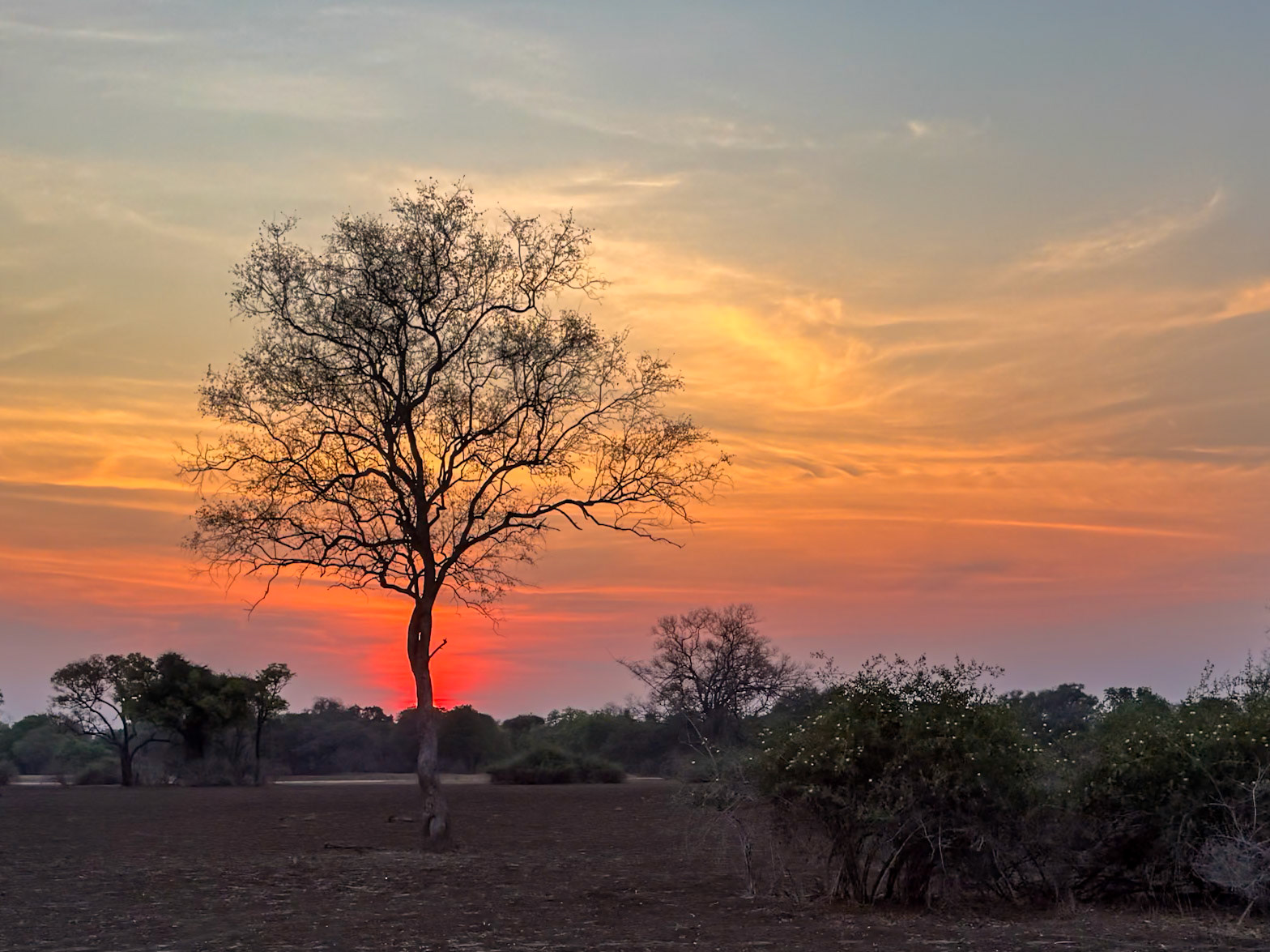 Zambia 2025 - Kaingo Camp - 3rd Game Drive Sunset