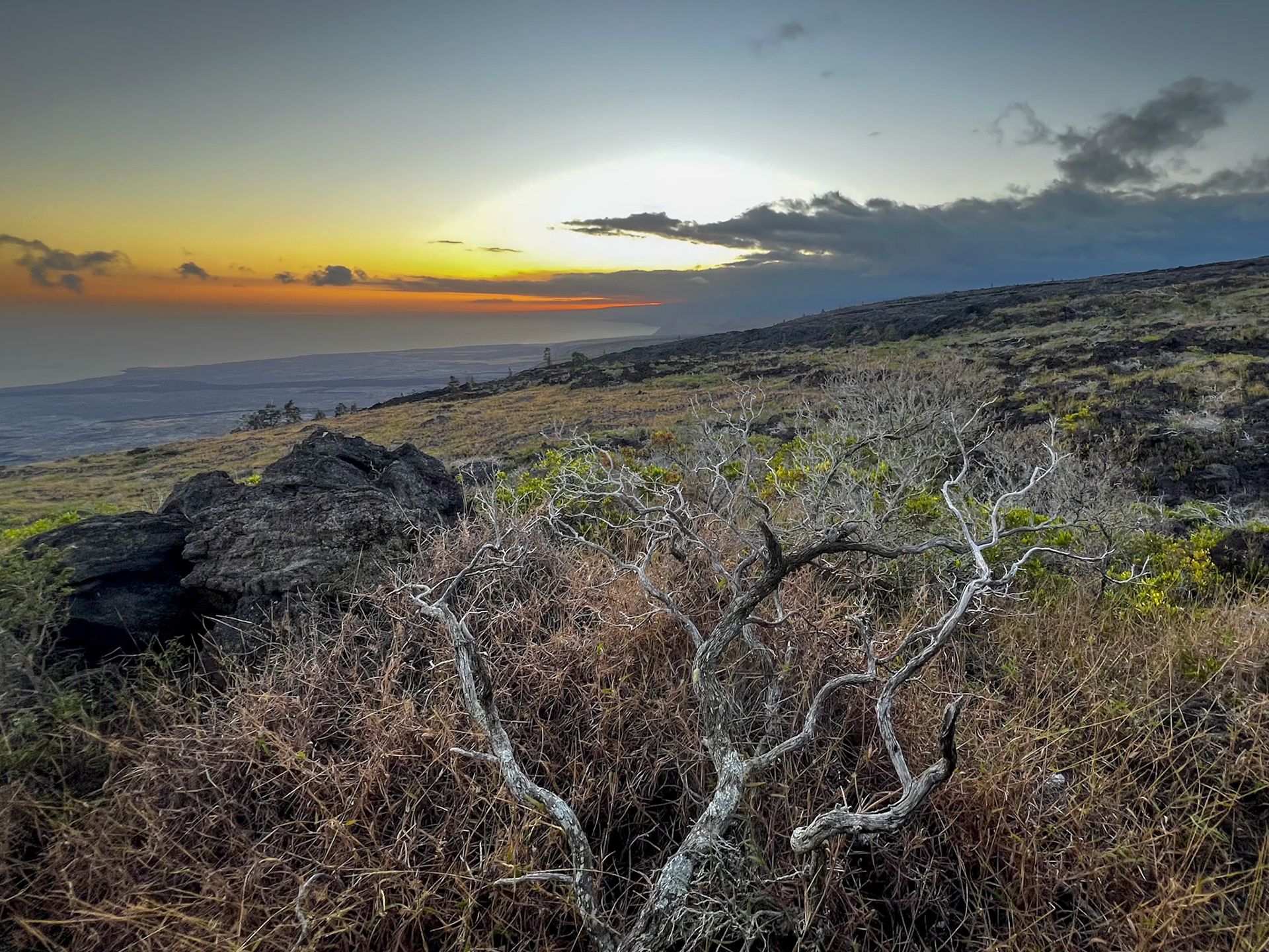 Photos from Joe - Chain of Craters Road