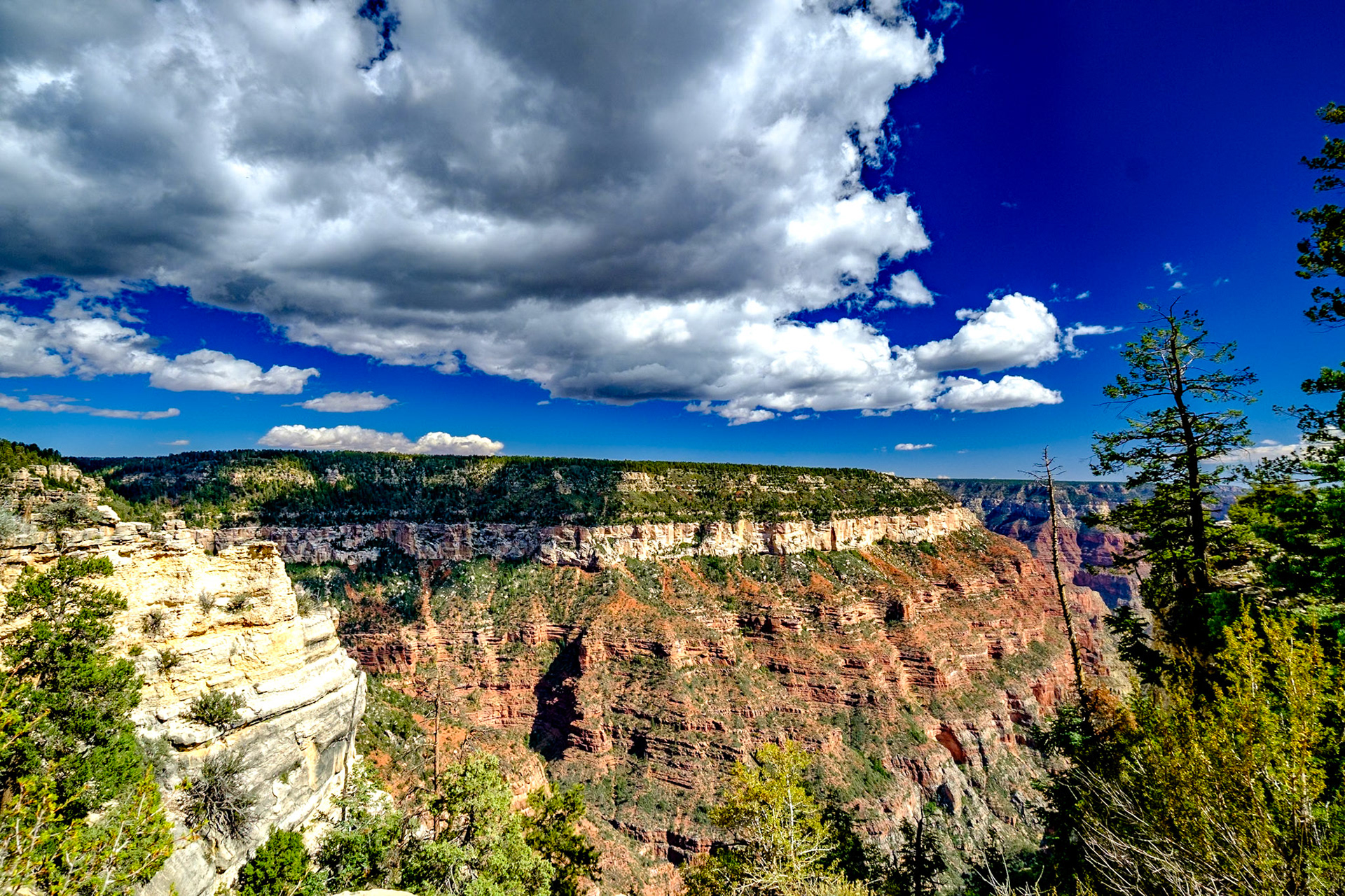 Grand Canyon - Widforss Trail Hike