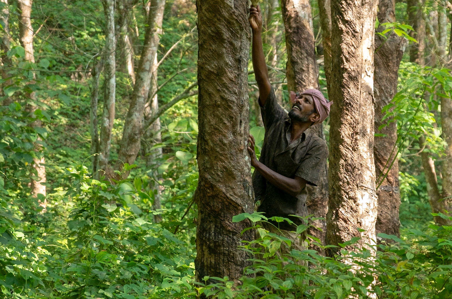 Rubber worker - Dewalokum
