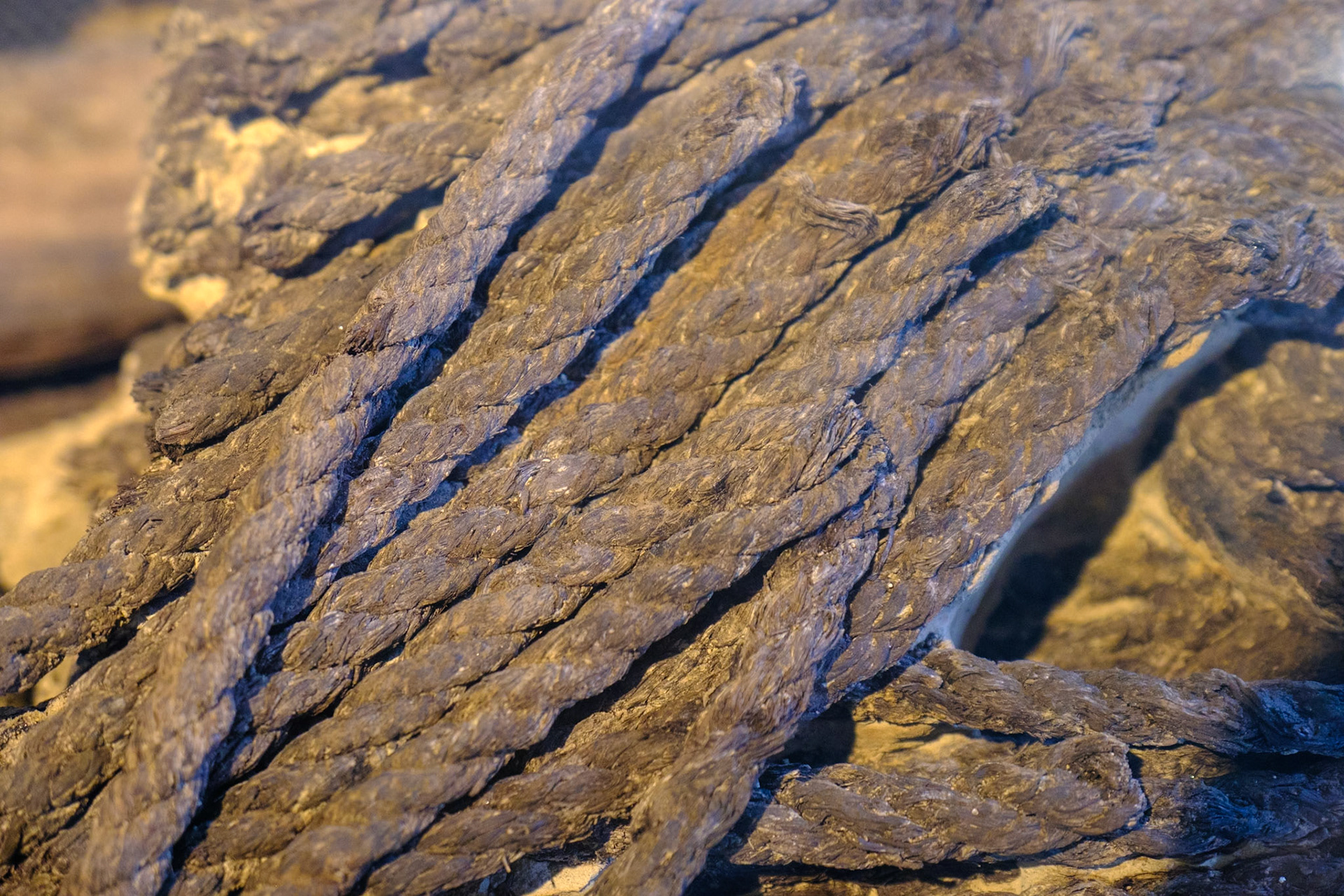 Naples 2024 - Herculaneum - Preserved fishing rope