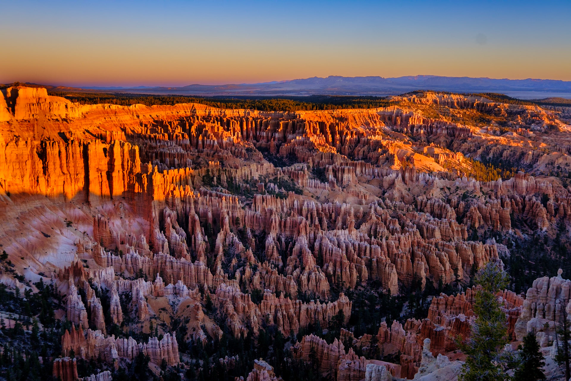 Utah Trip 2021Bryce Canyon National Park - Bryce Point