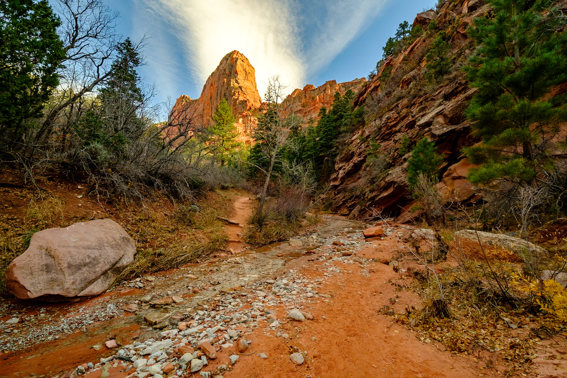 Utah Trip 2021Zion National Park - Kolob Canyons - Middle Taylor Creek Trail