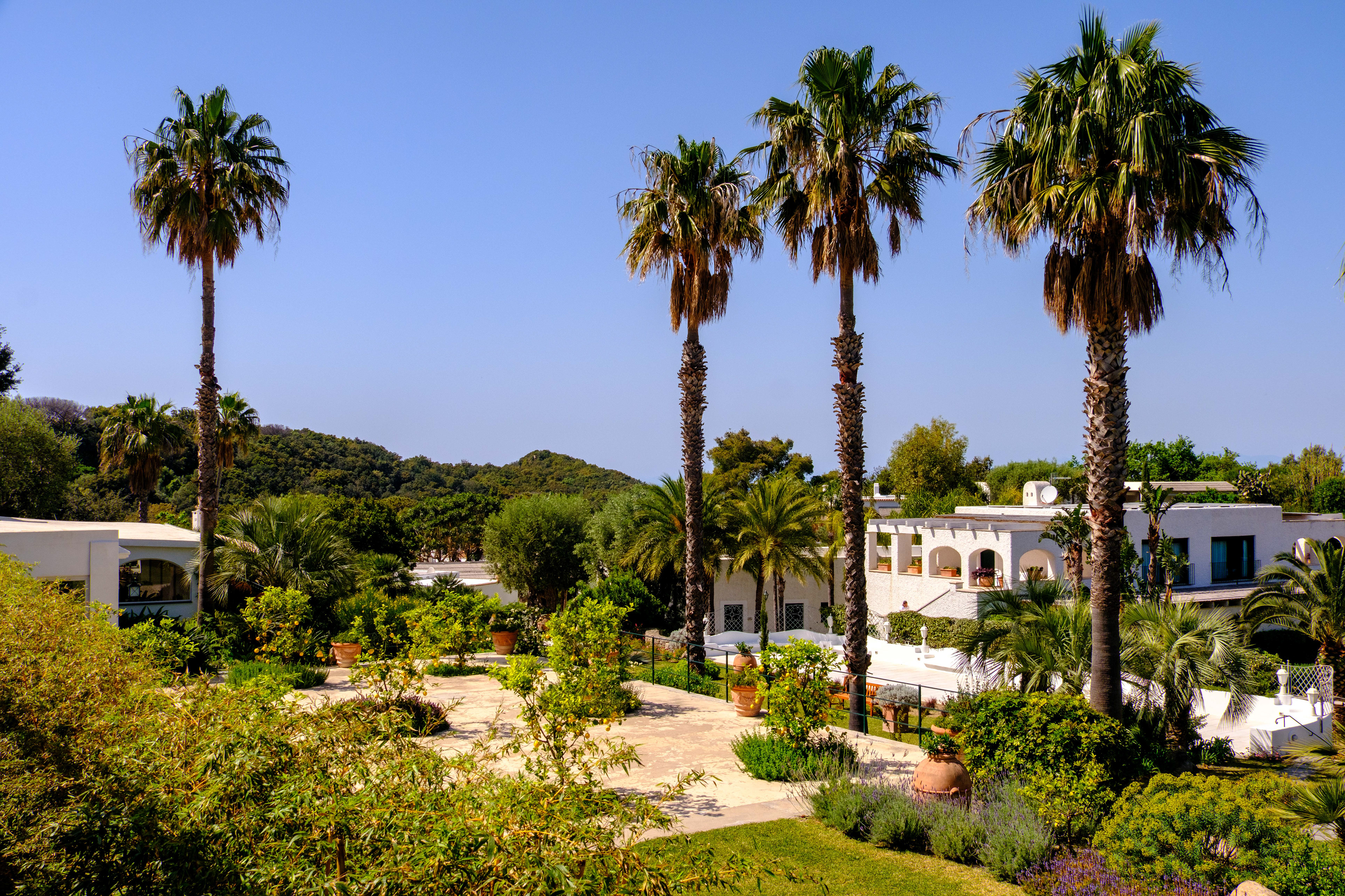 Ischia