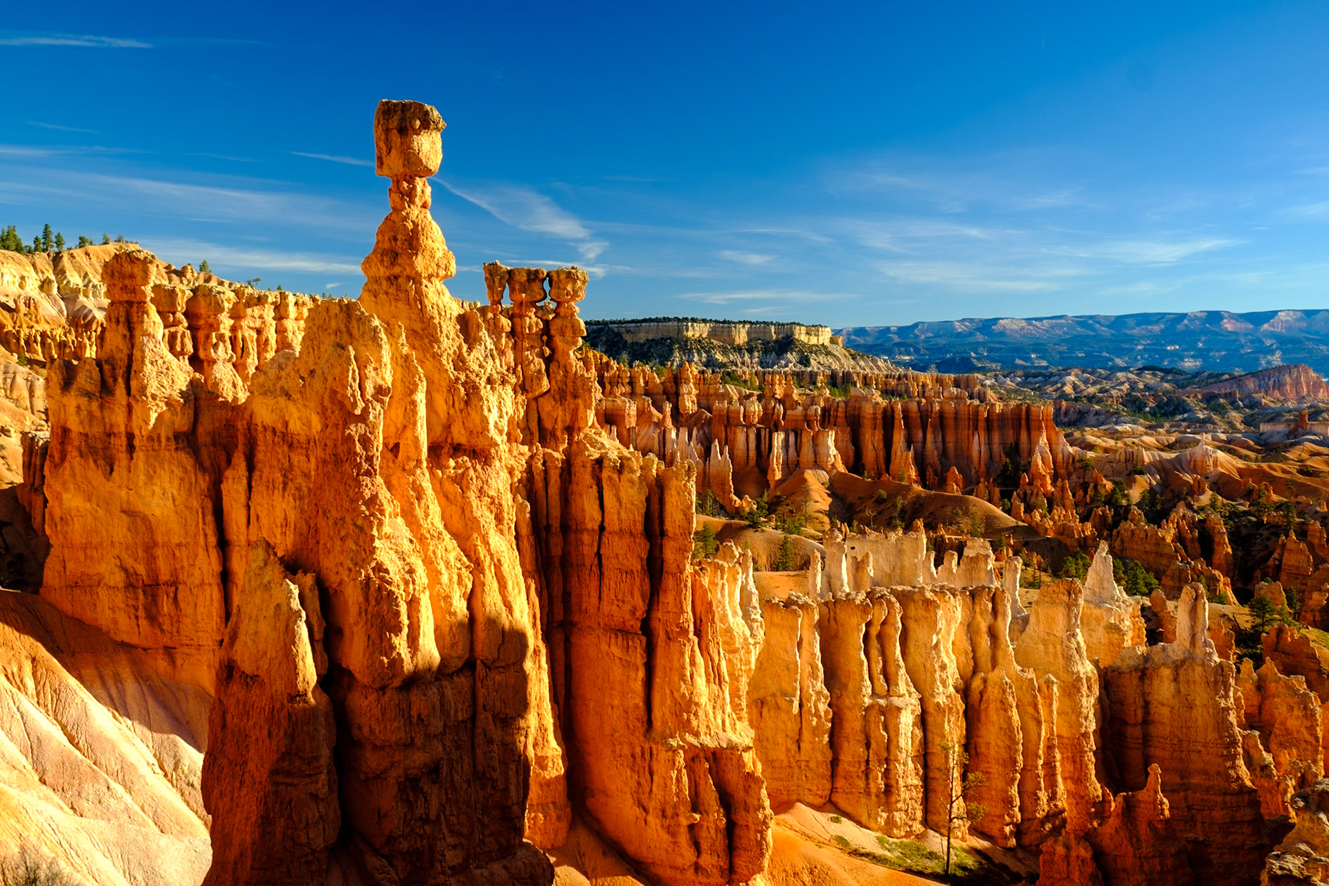 Utah Trip 2021Bryce Canyon National Park - Navajo Trail