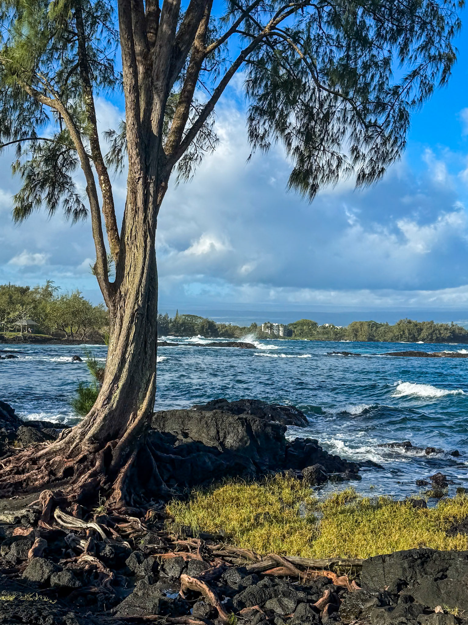 Richardson Ocean Park near Hilo