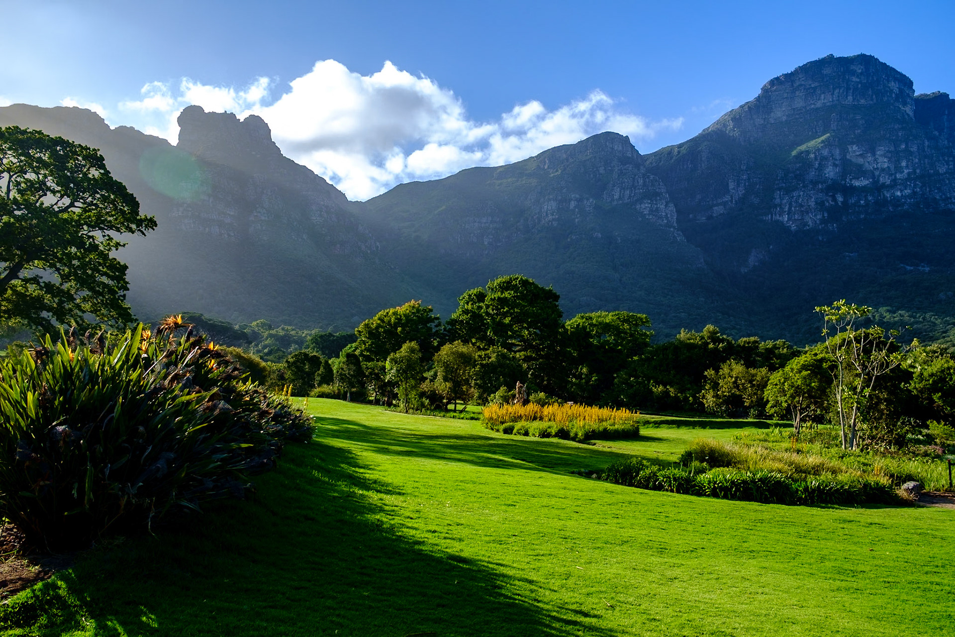 Kirstenbosch National Botanical Gardens