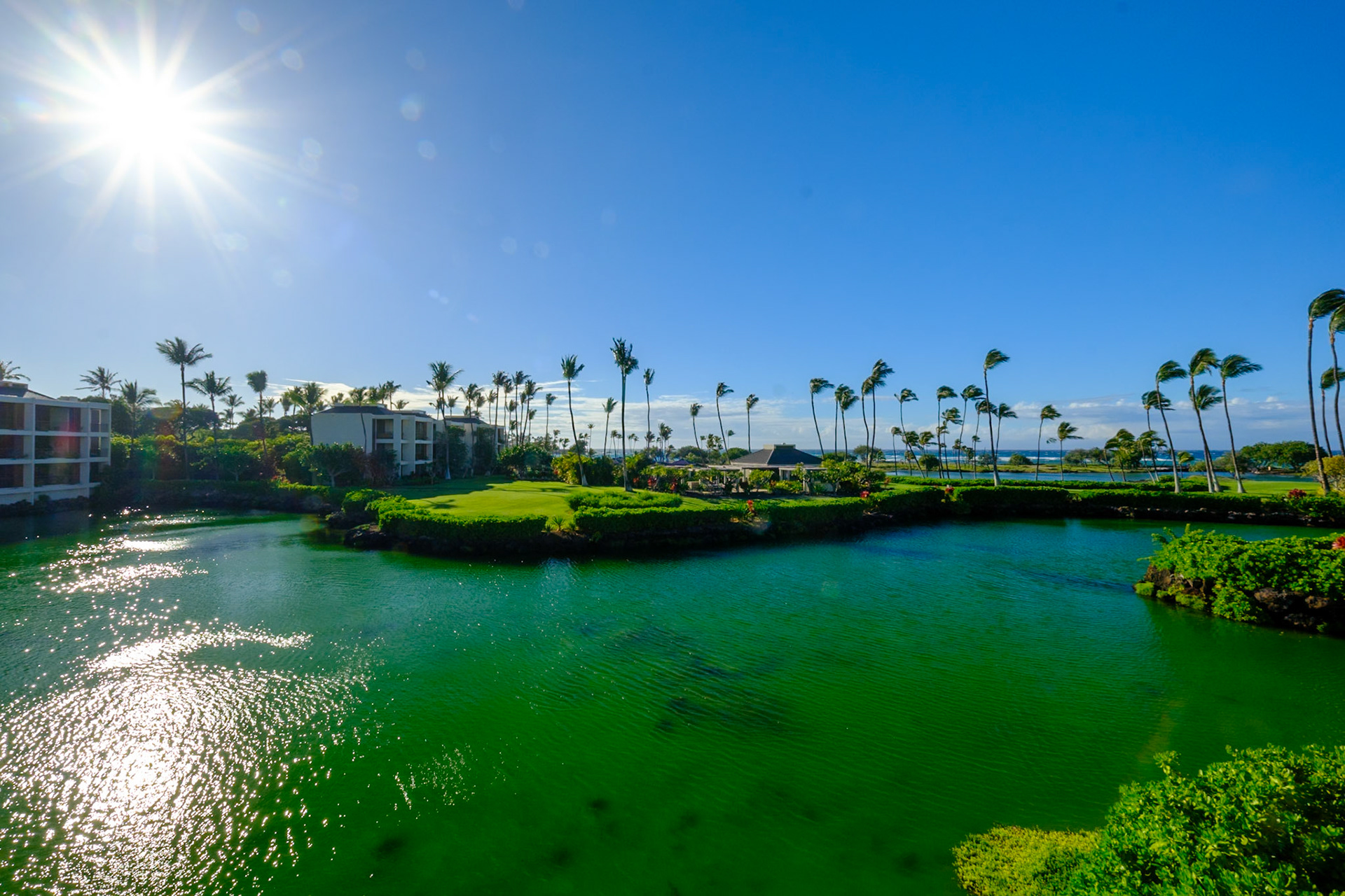 View from our room at Mauna Lani