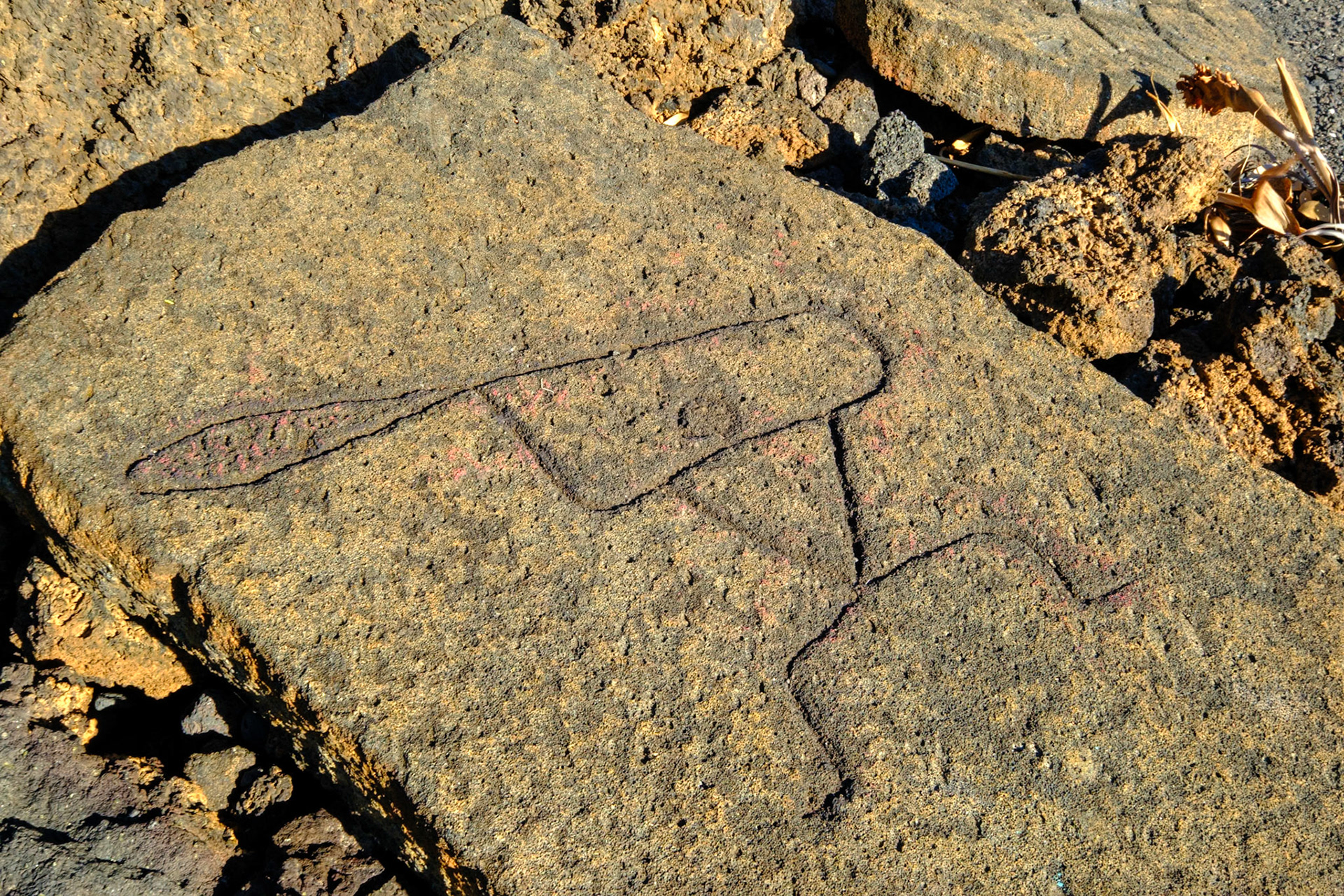 Puakō Petroglyph Archaeological Preserve