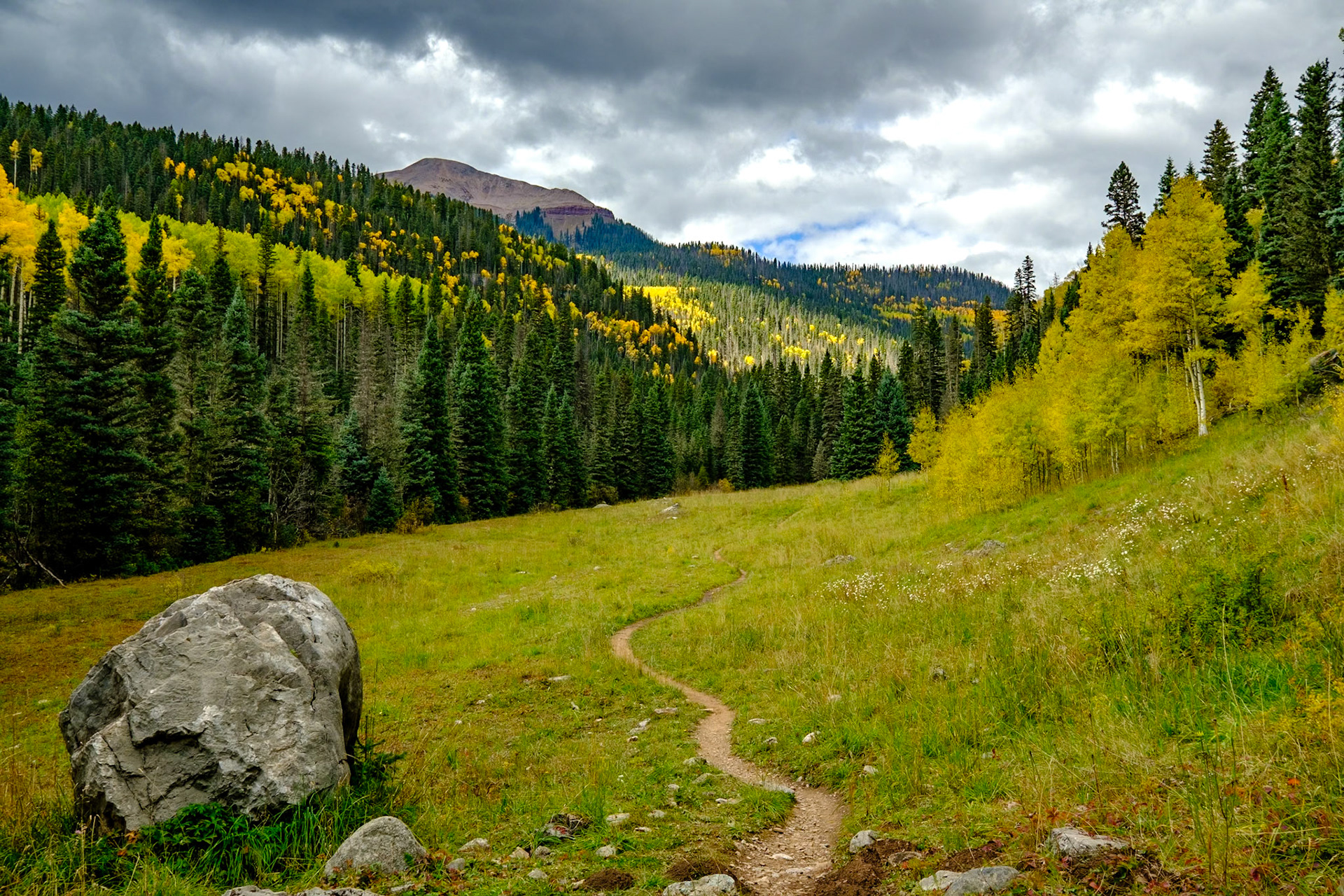 Cascade Creek Trail Hike