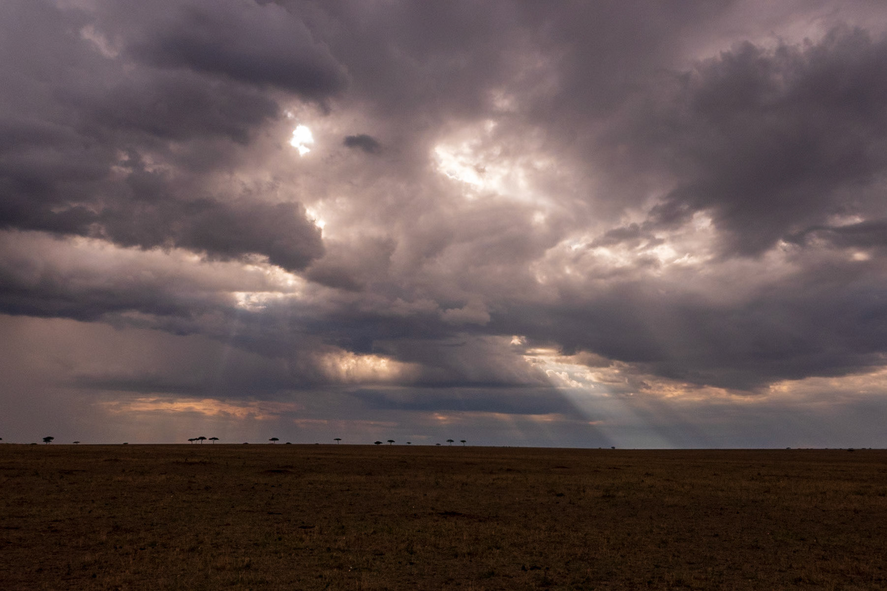 Tanzania - Serengeti National Park
