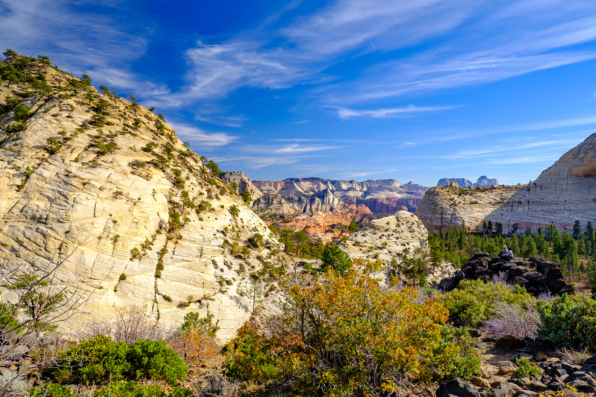 Utah Trip 2021Zion National Park - Kolob Terrace Road - Wildcat Canyon - Northgate Peaks Trail