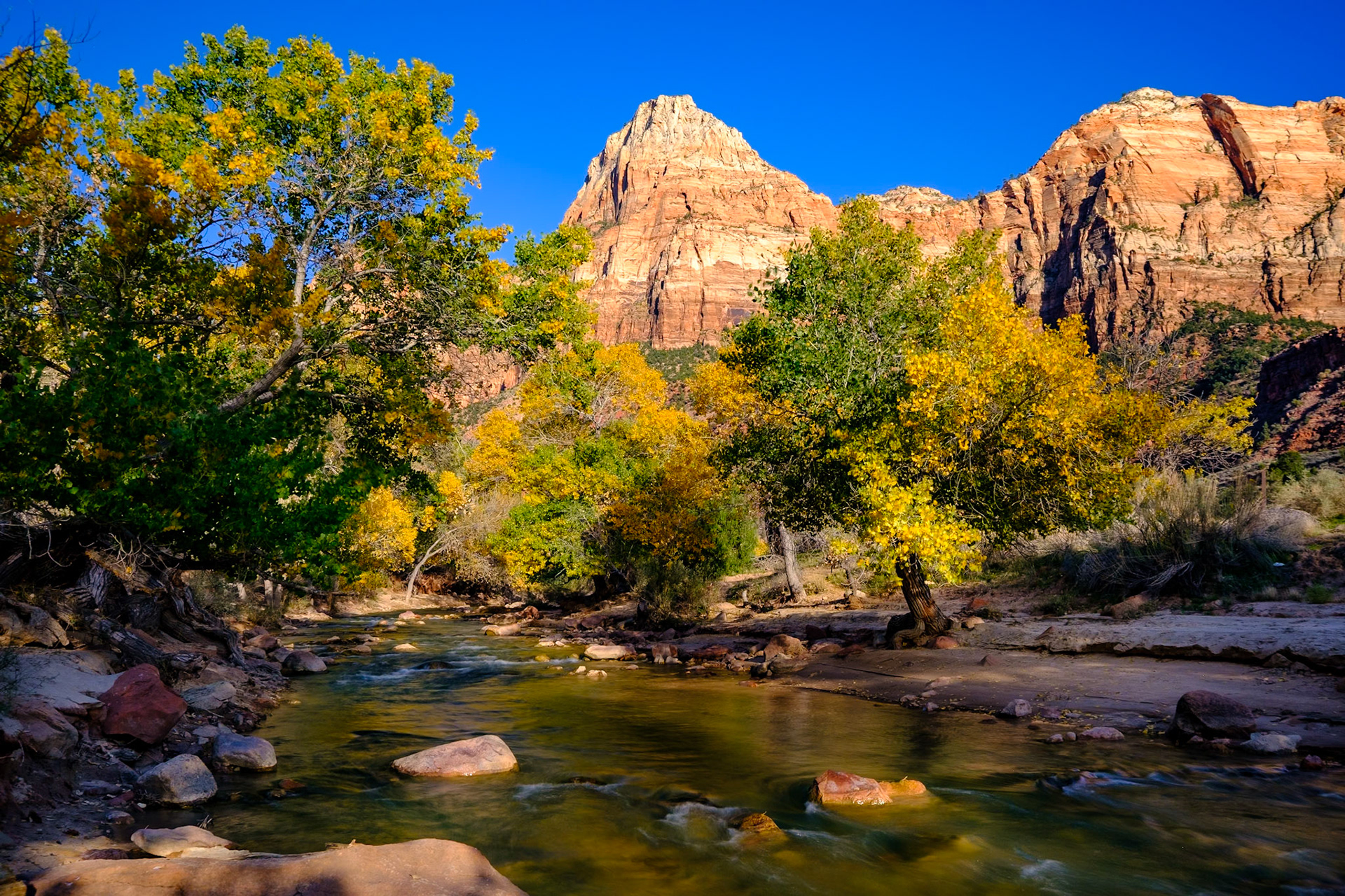 Utah Trip 2021Zion National Park - Virgin River near entrance to park