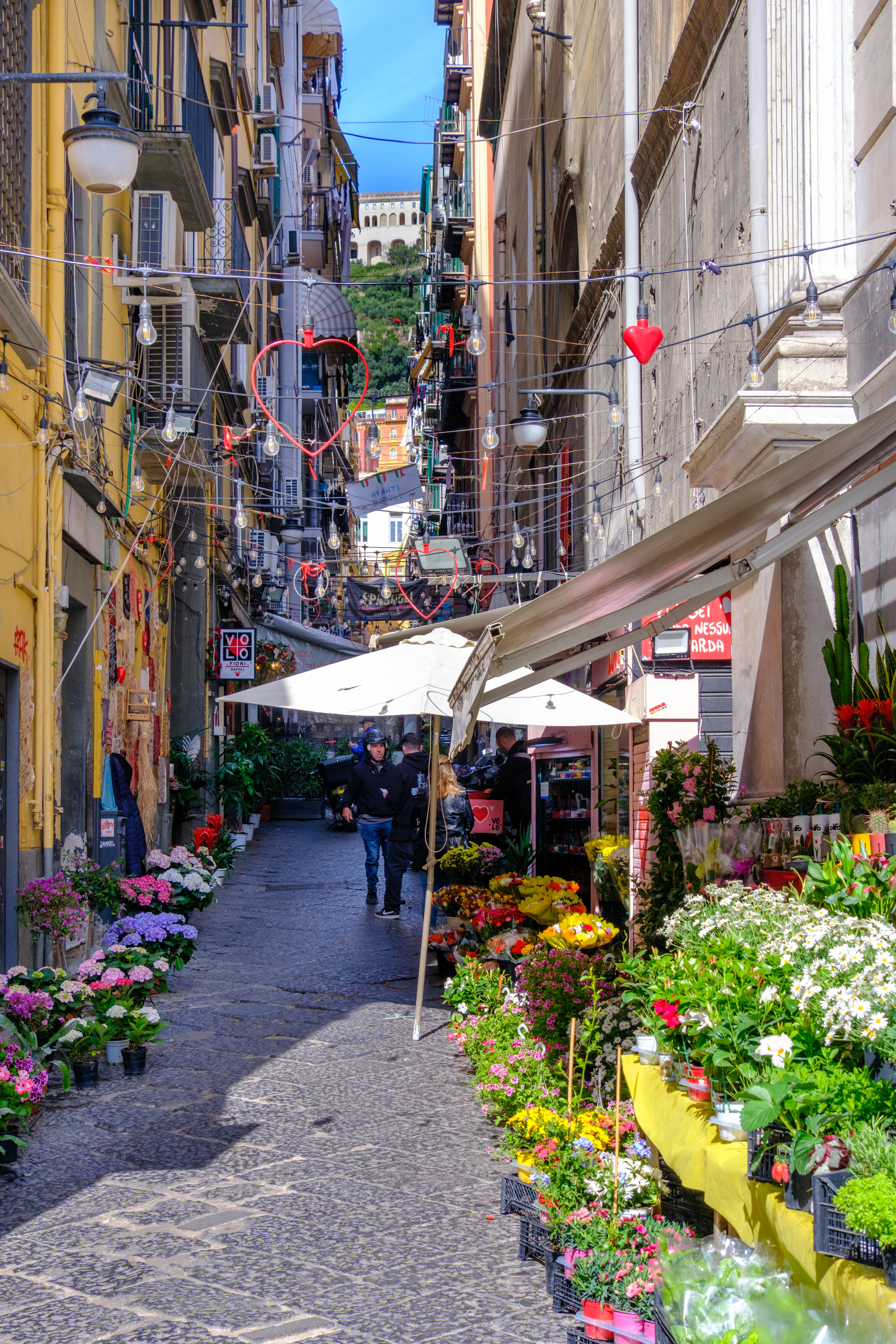 Naples