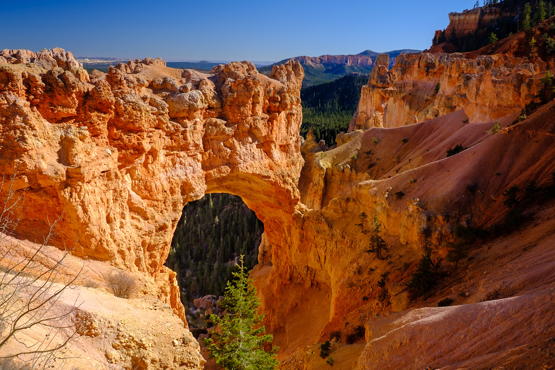 Utah Trip 2021Bryce Canyon National Park - Bryce Natural Bridge Overlook