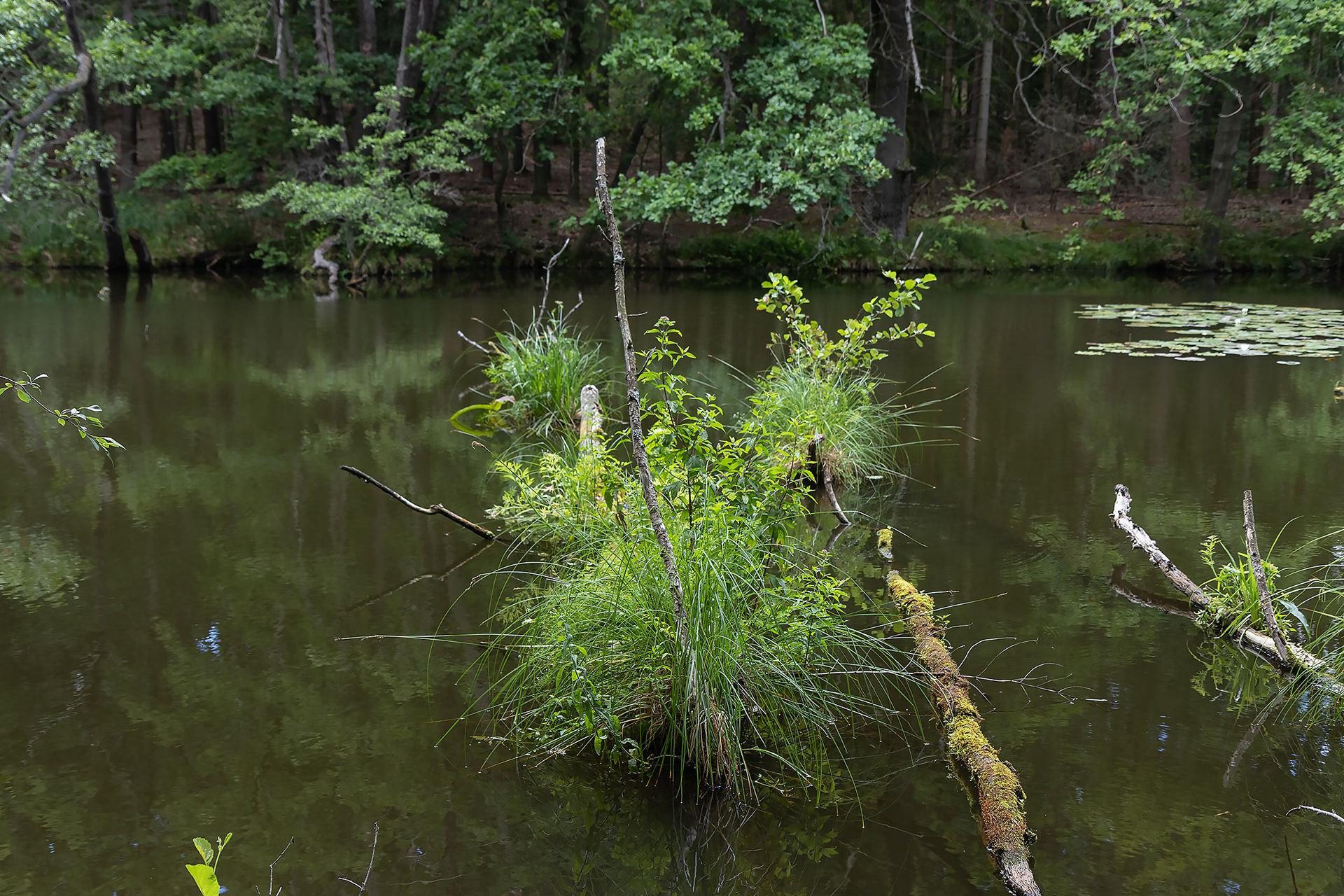 River Schlaube