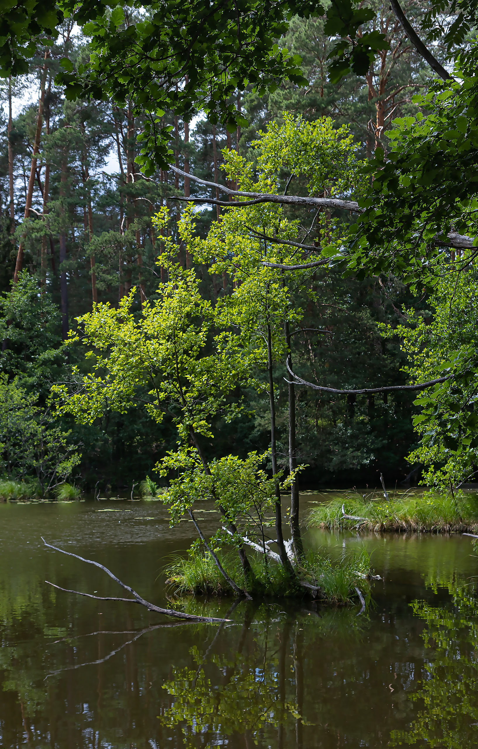 River Schlaube