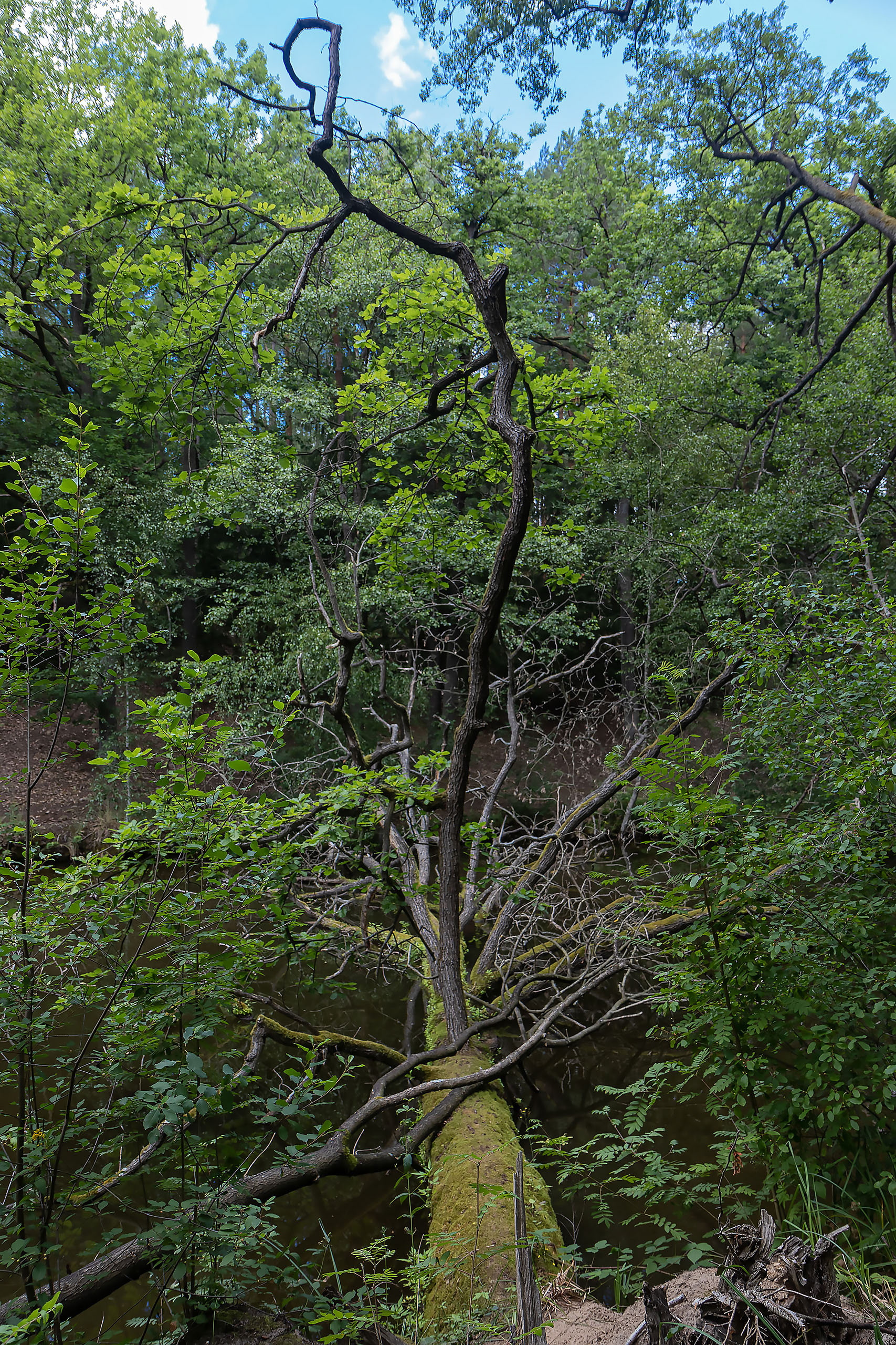 River Schlaube