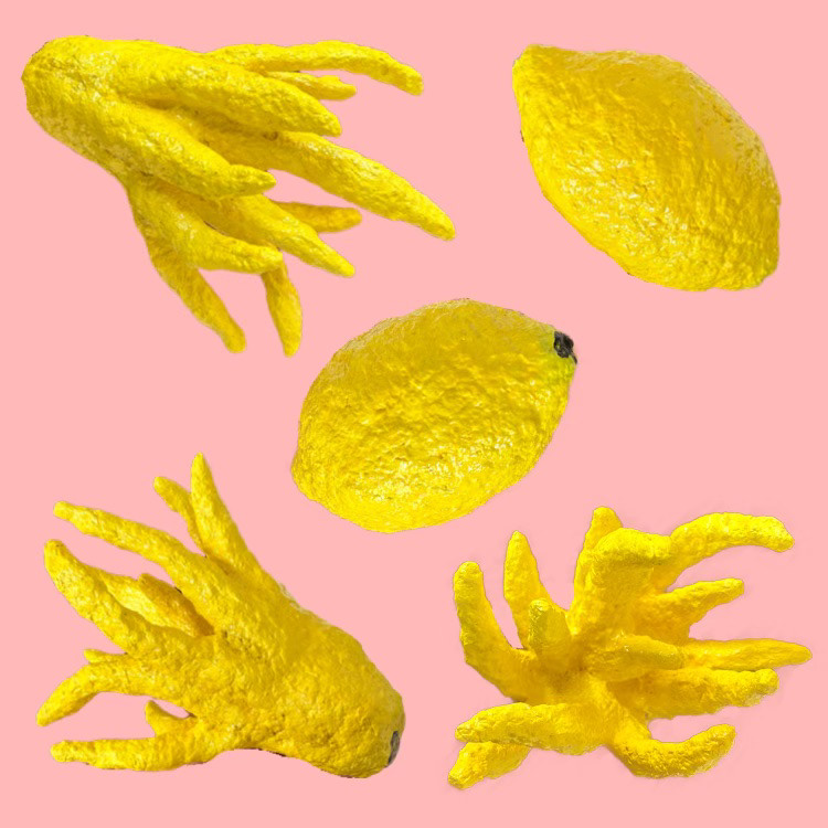 "Lemons & Citrons", paper pulp, joint compound, acrylic, 2023.