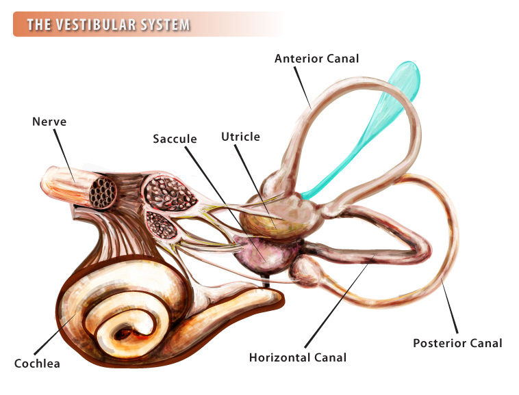 Medical vector art illustration