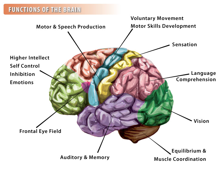 Medical vector art illustration