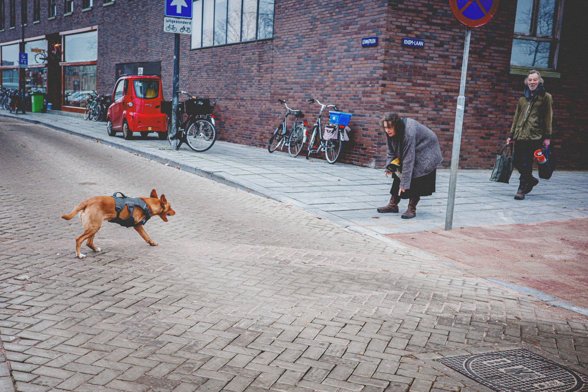 Amsterdam