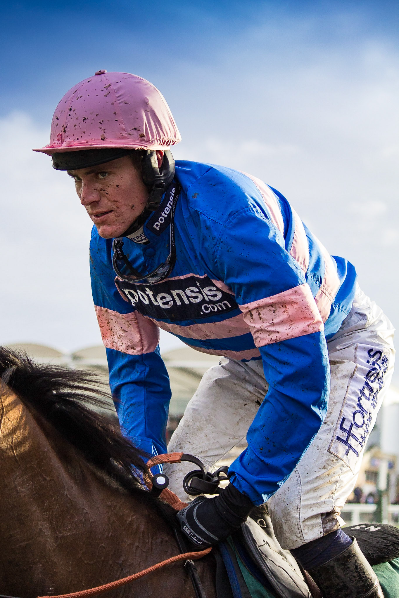 Study of disappointment as rider places 2nd at Cheltenham Races