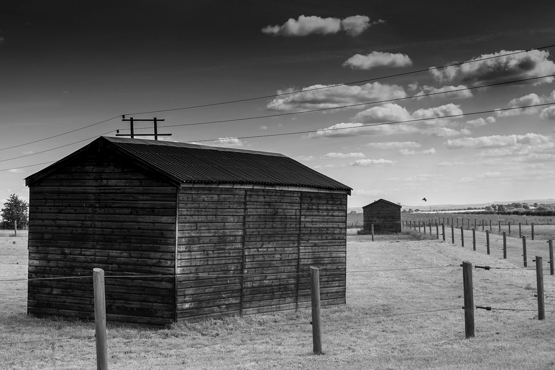 CJHC Festival @ Dean Close November 2017