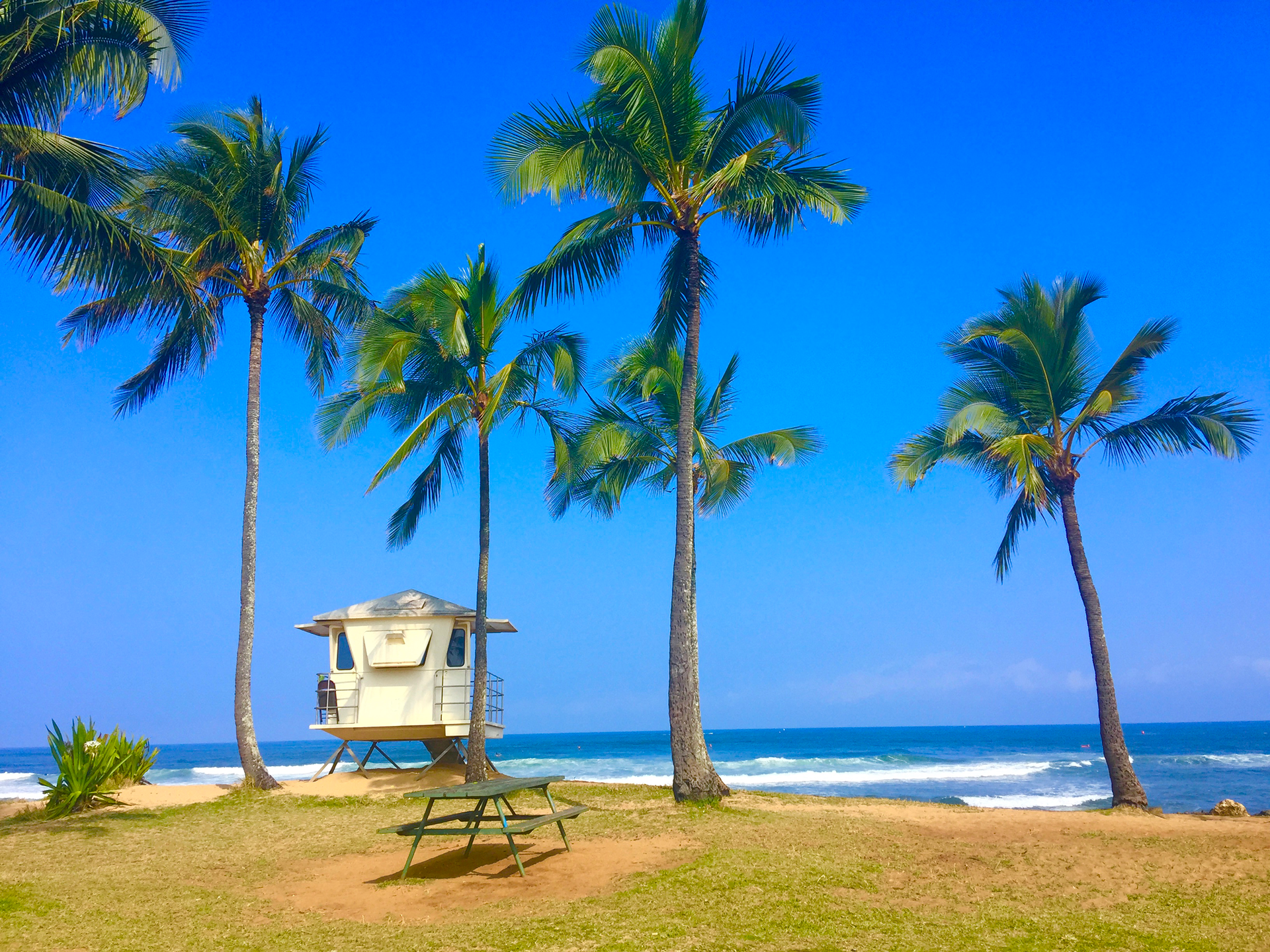 Lifeguard Tower: 31 at Hale'iwa Alii Beach – Hale'iwa, Honolulu County, Oahu, Hawaii