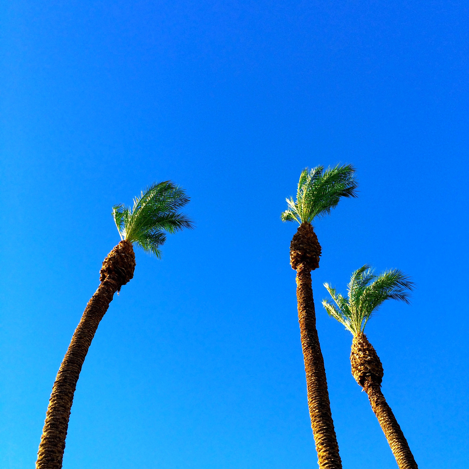 The Three Palms – Laughlin, Clark County, Nevada