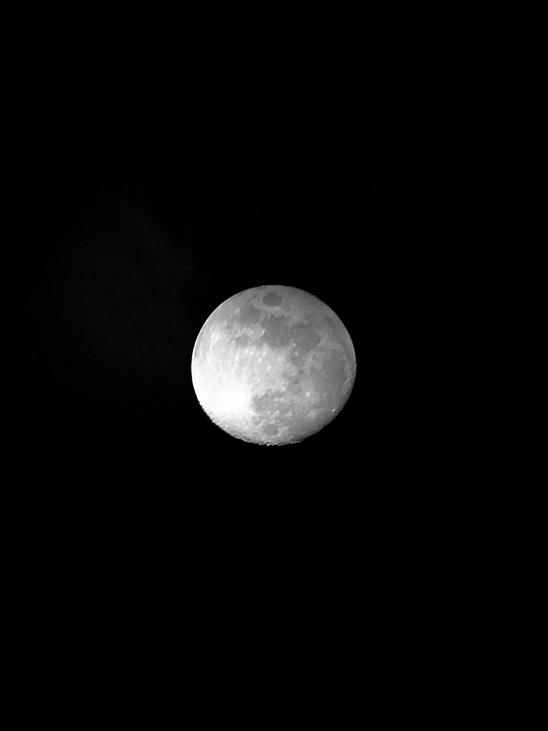 Selene's Close-Up – Provo, Utah County, Utah