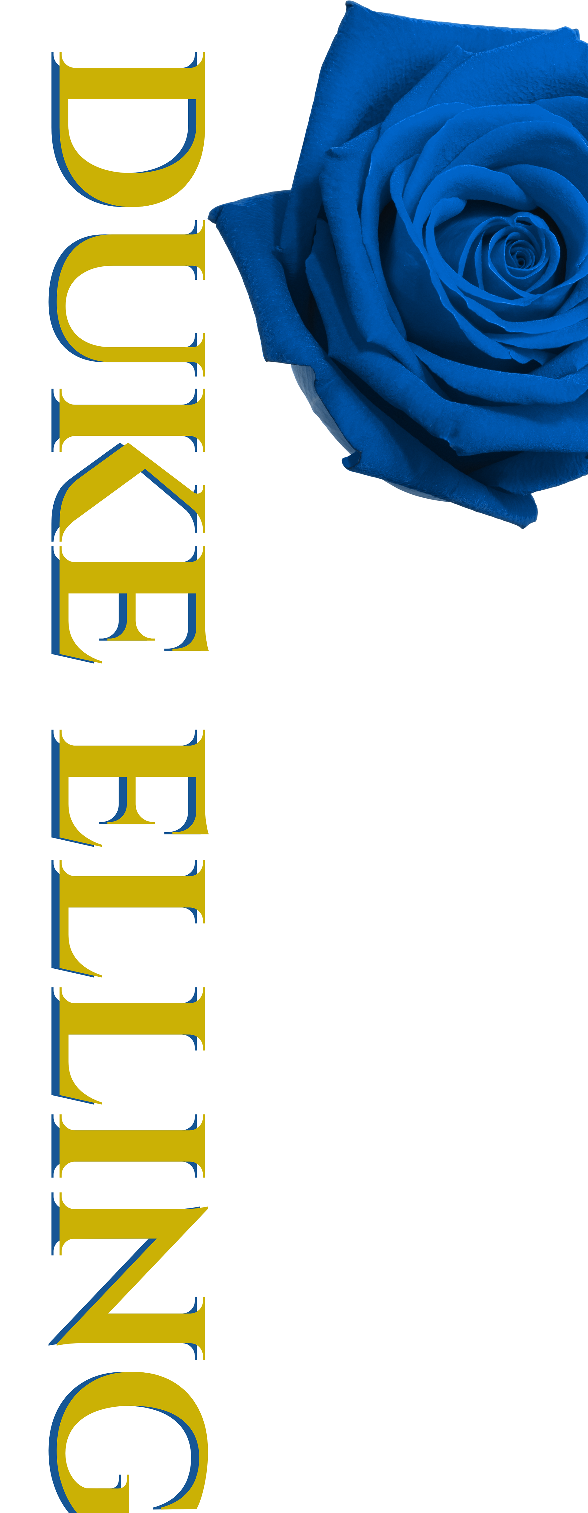 Show poster banner I created