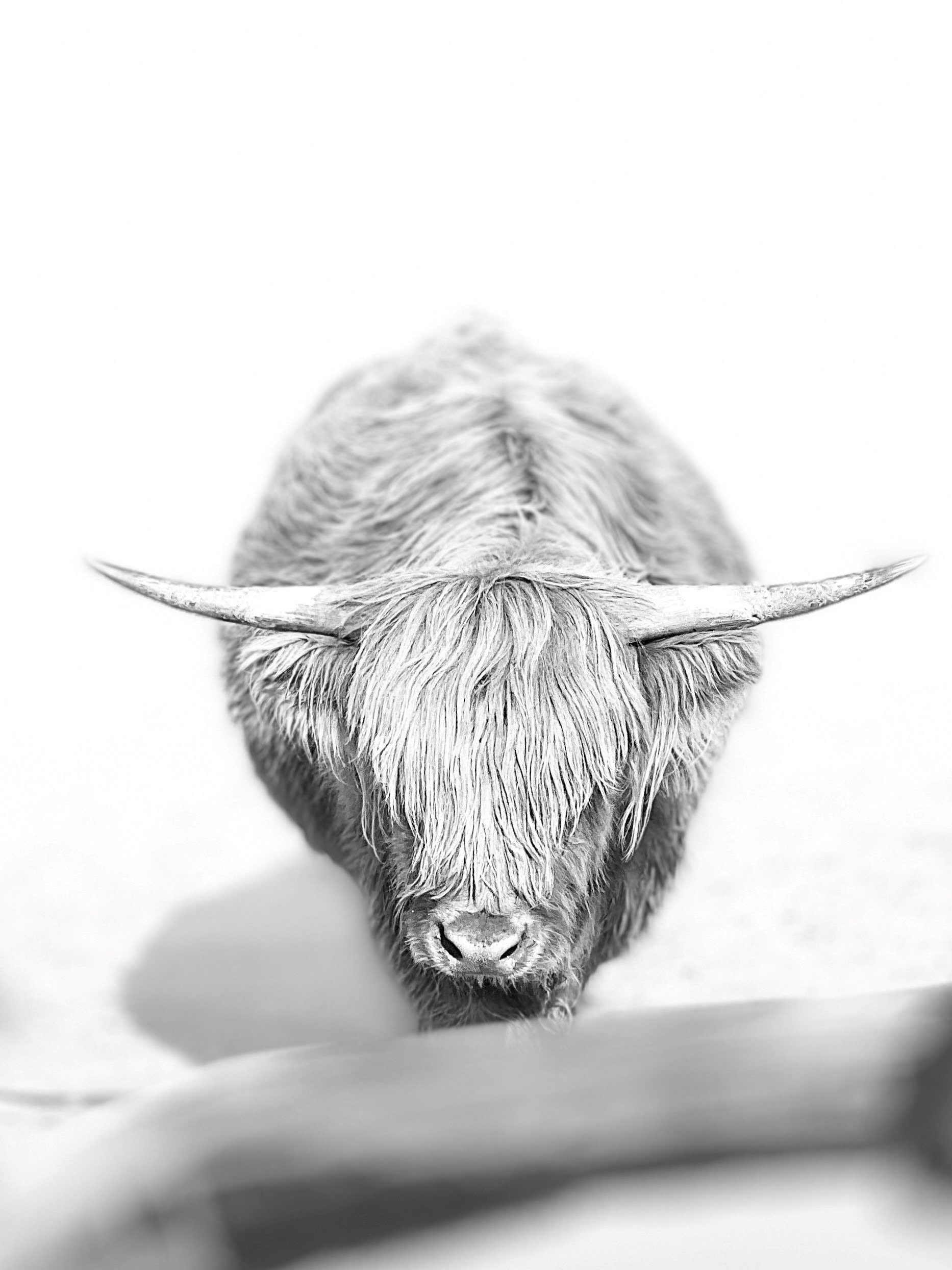 African Safari Wildlife Park- Port Clinton, OH