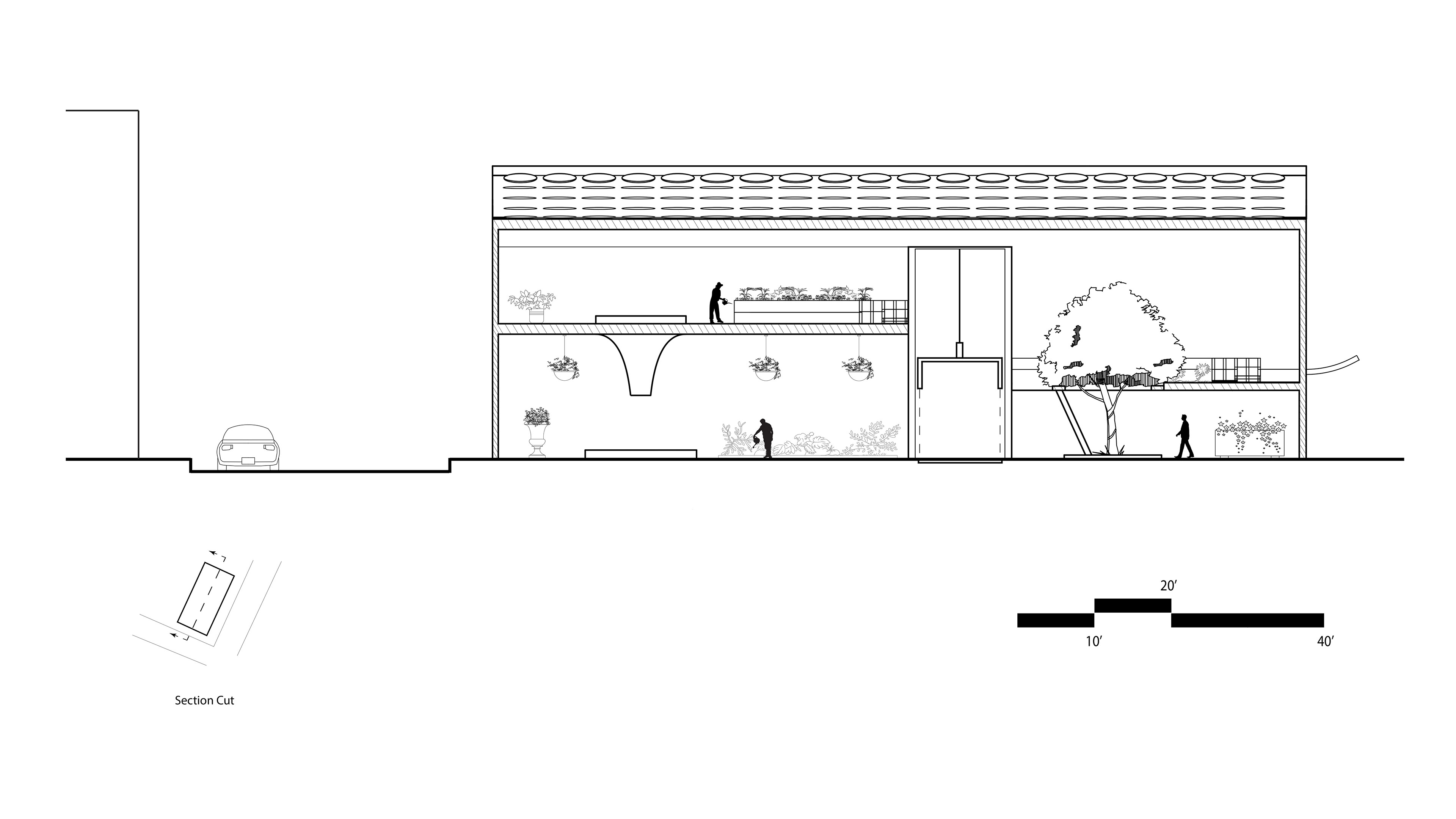 Section Cut