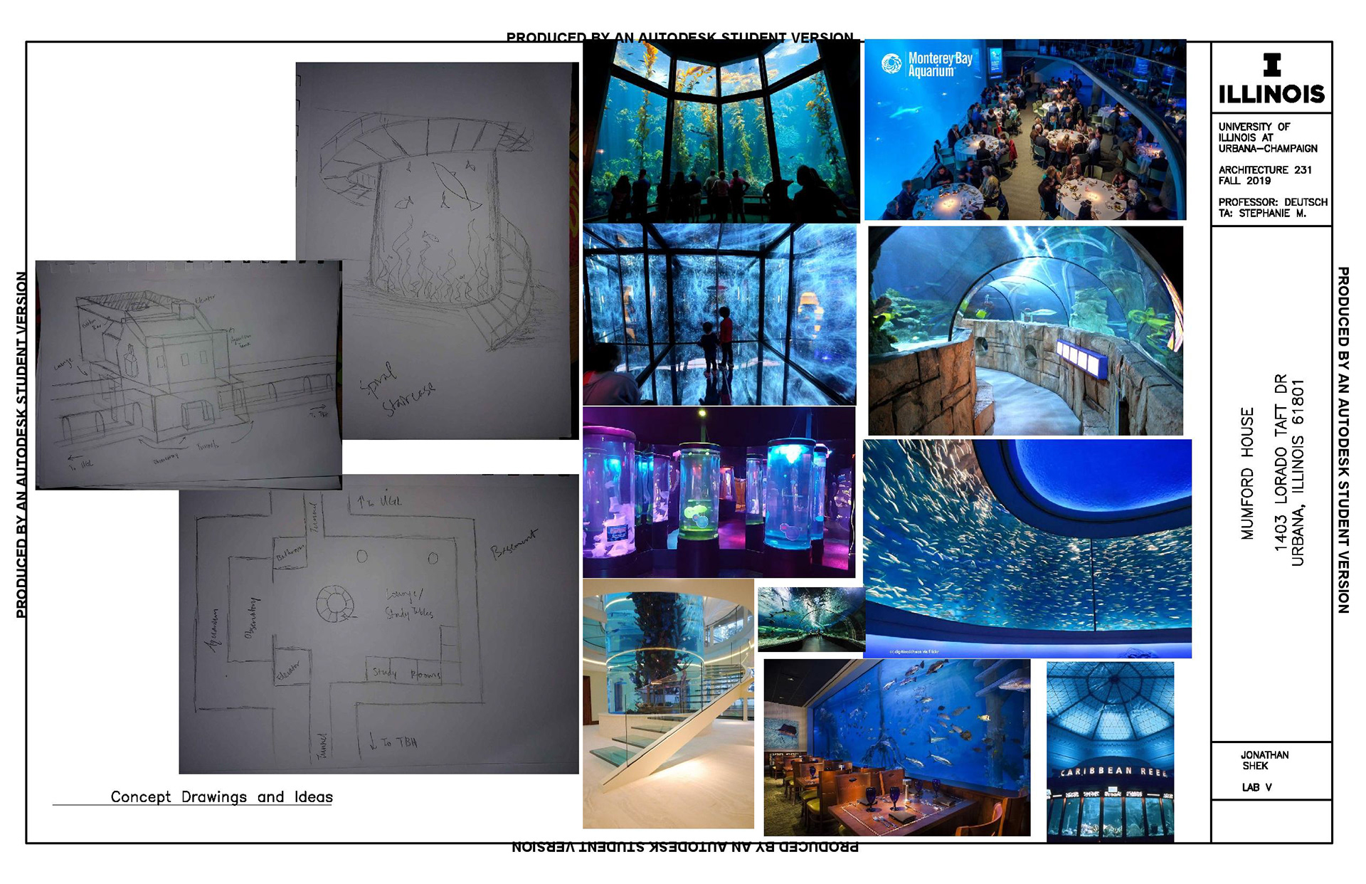 Concept Board and Sketches