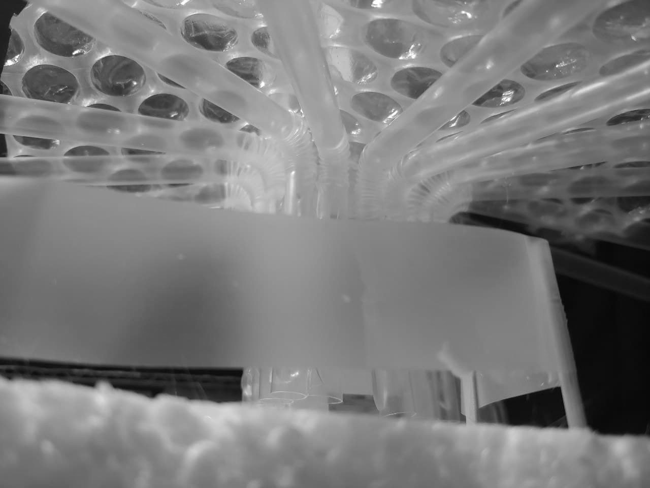 Interior of Iteration 2 - Wanted to keep overarching roof