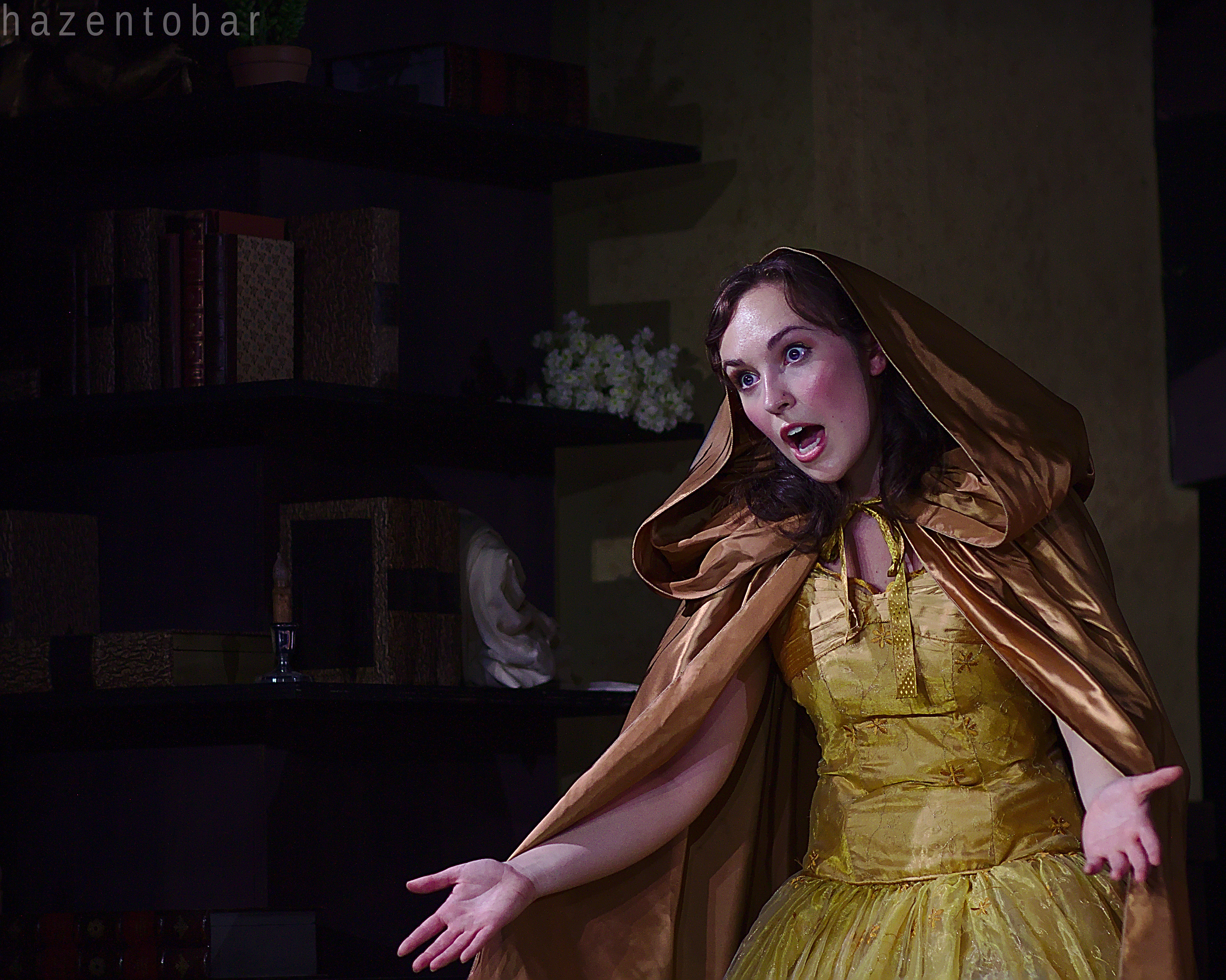 Cinderella in Ballgown, Photo Credit: HAZEN TOBAR 