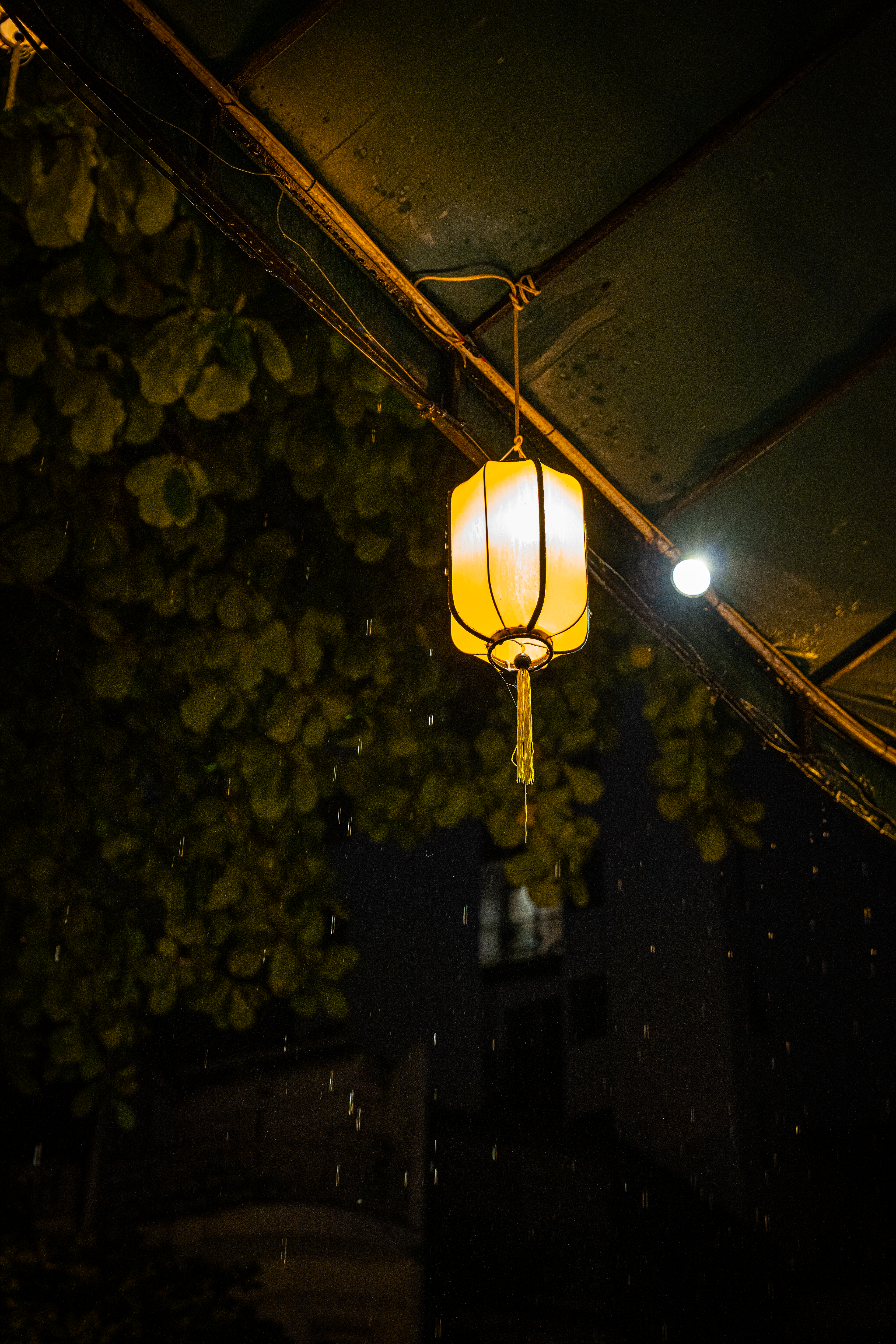 Rainy Night at a Cafe in Hanoi.