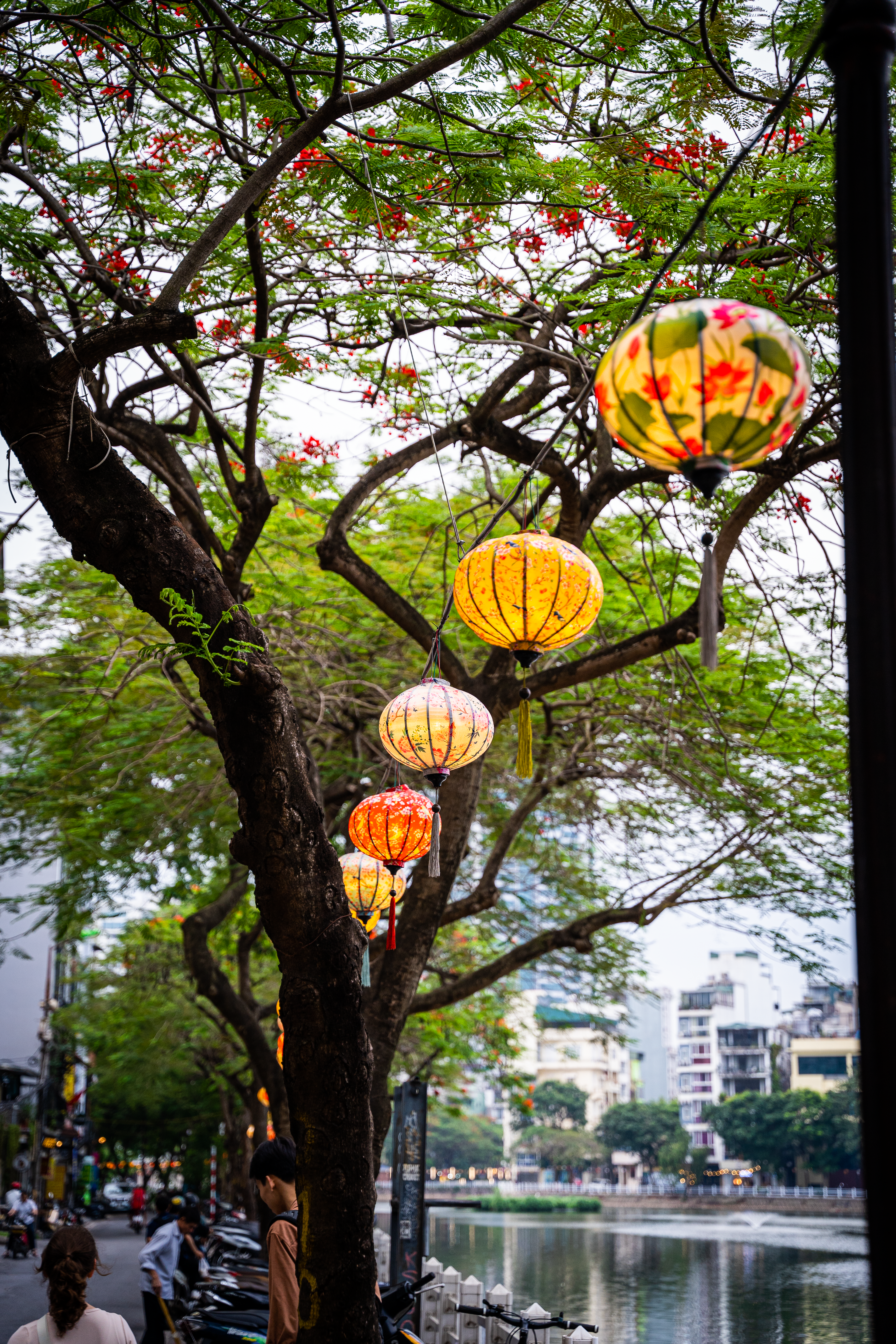 Lantern street within Hanoi.