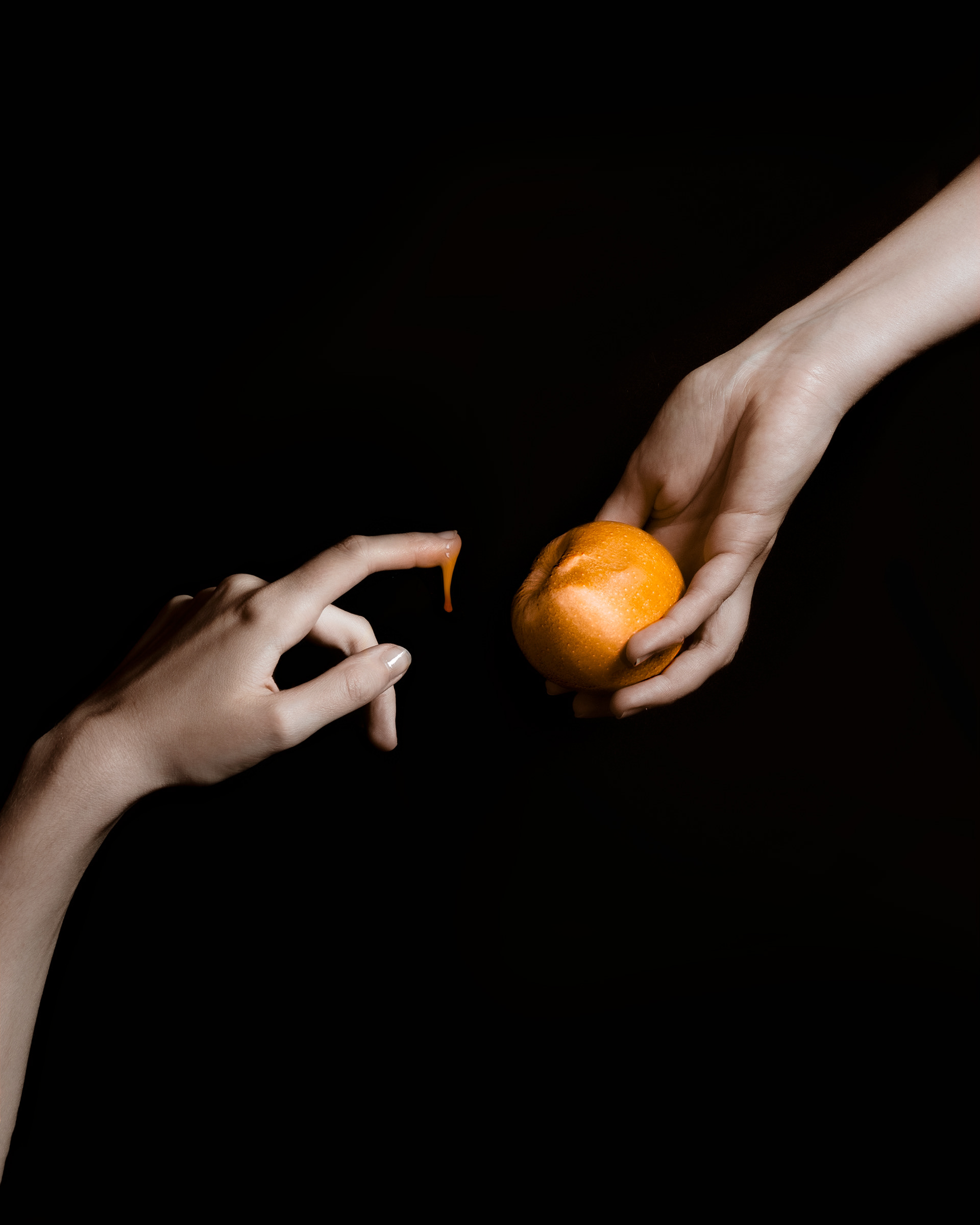 Fruit de la tentation, 2023