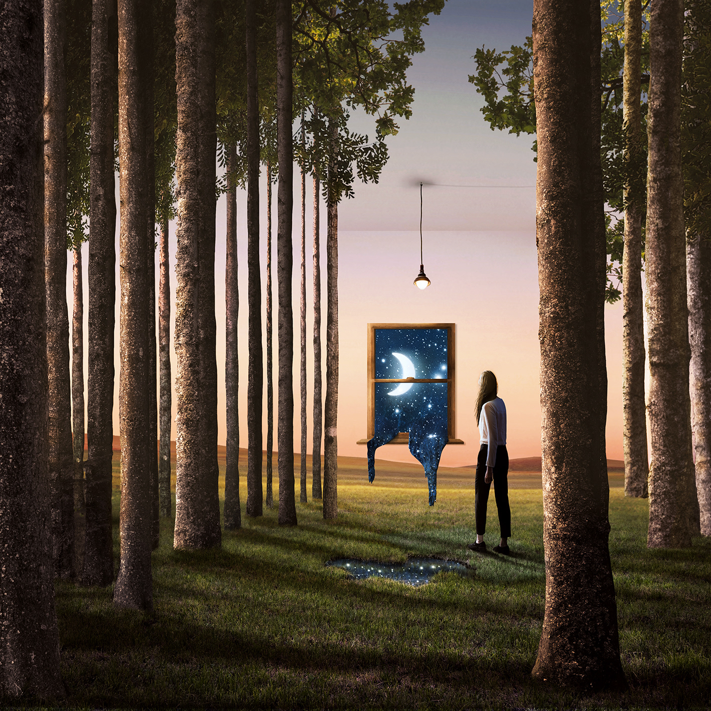 Window to the Unknown, 2024