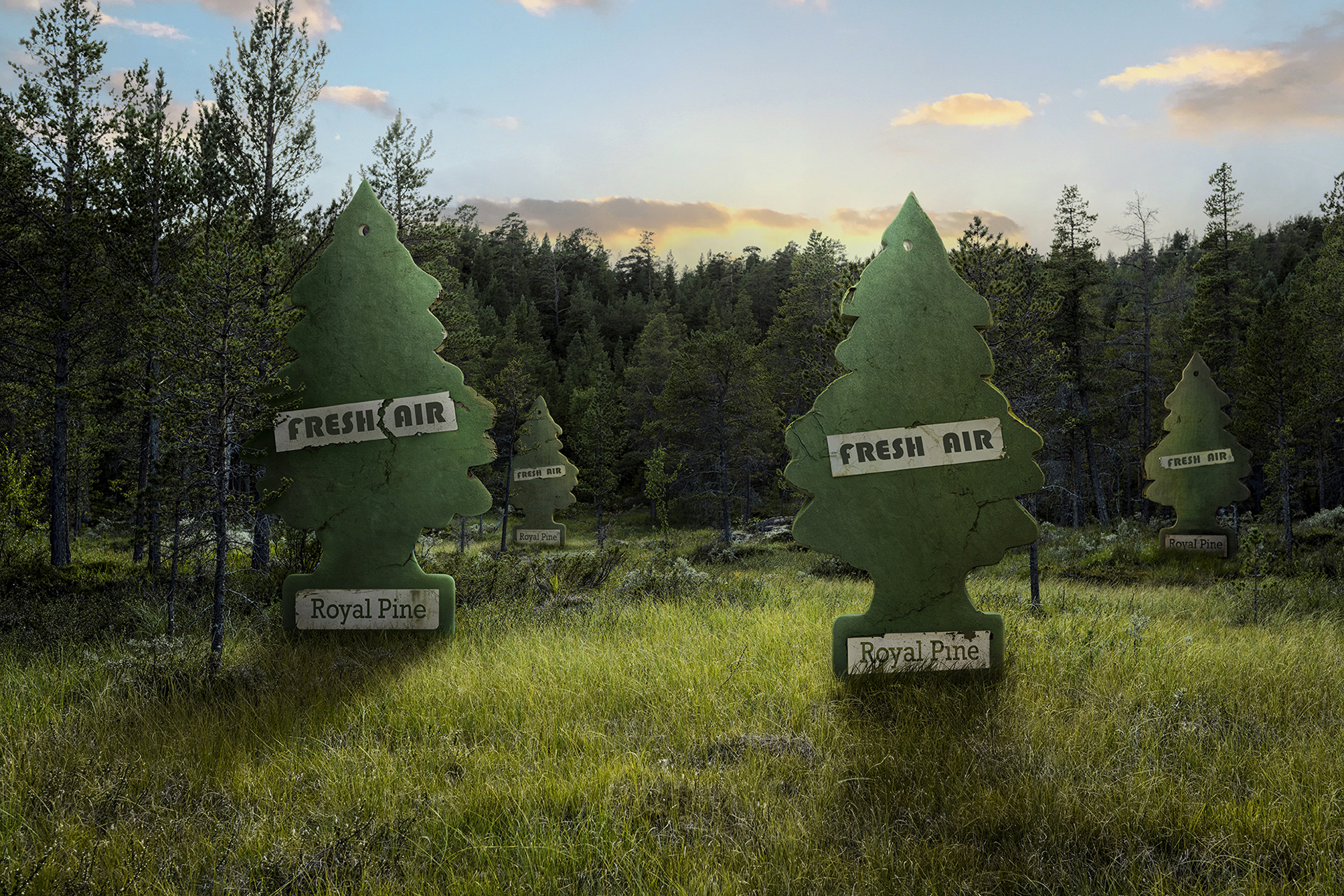 Fresh Air, 2026